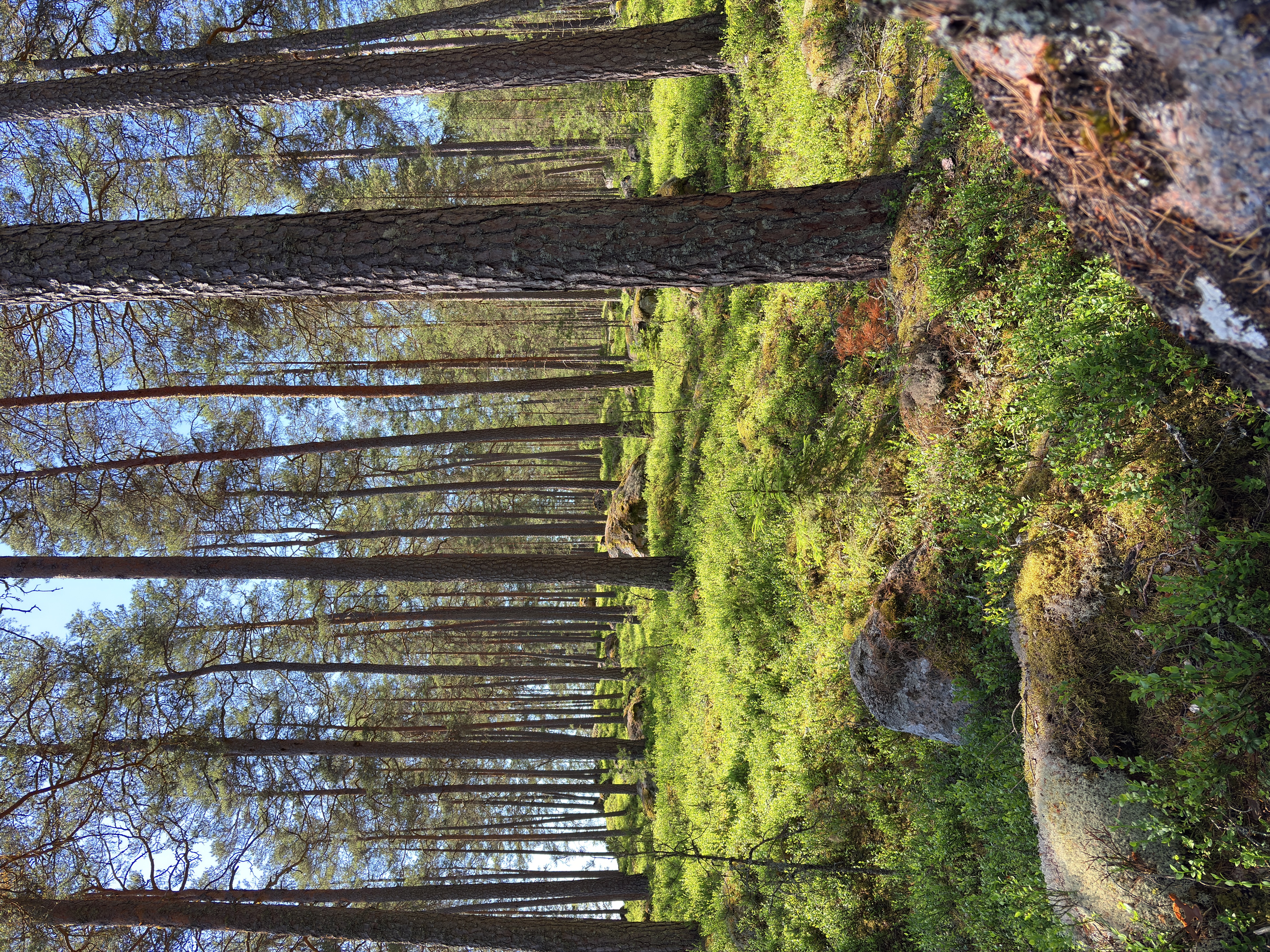 Bild ohne Beschreibung Bild ohne Beschreibung