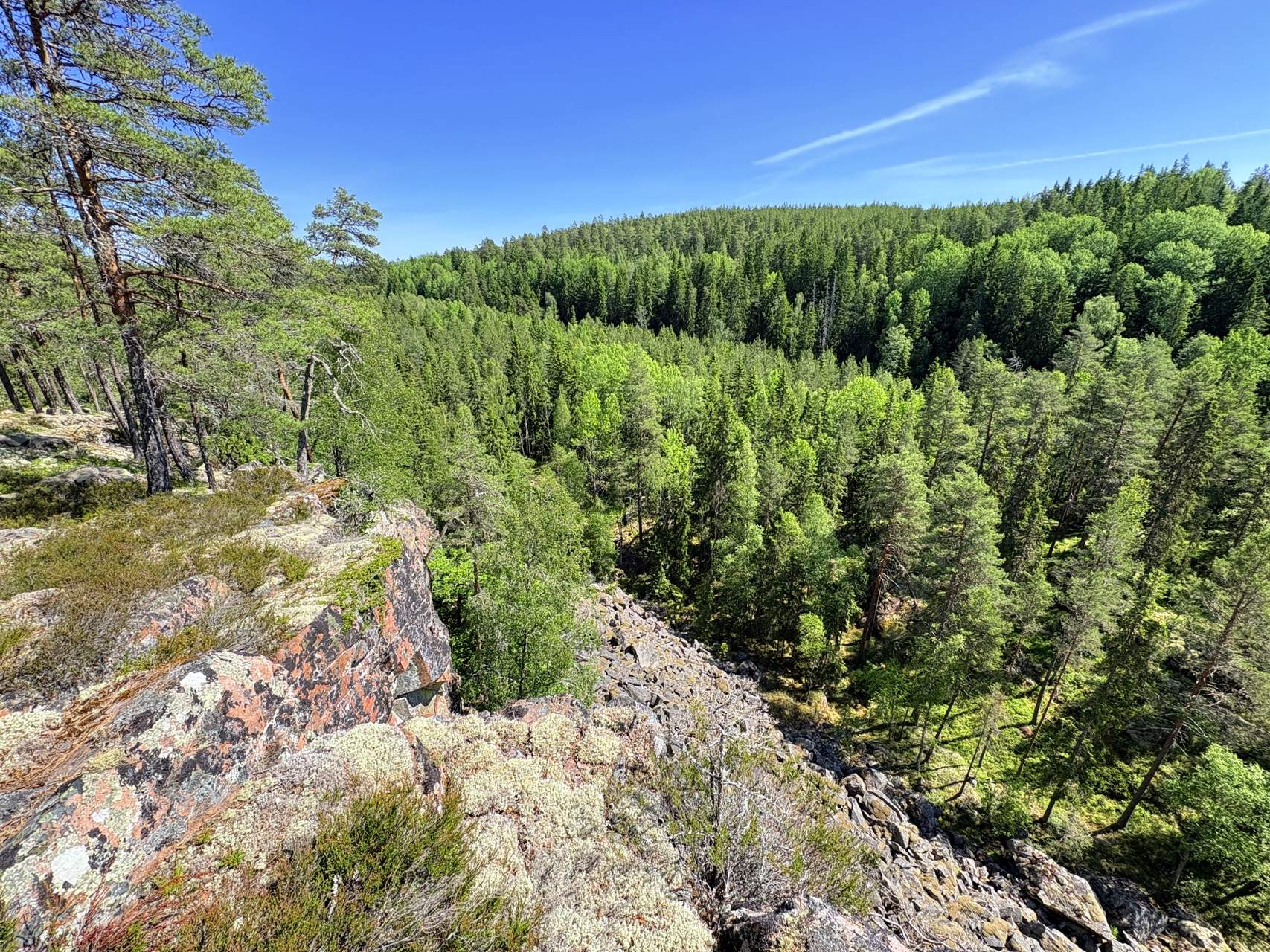 Bild ohne Beschreibung