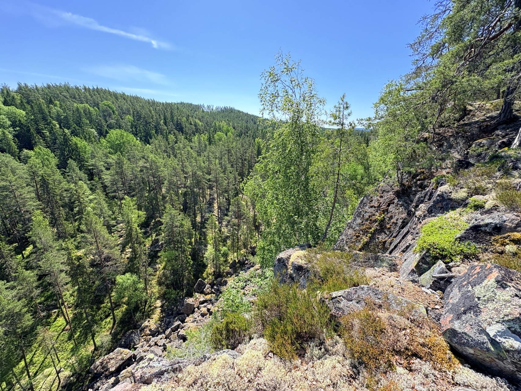 Bild ohne Beschreibung