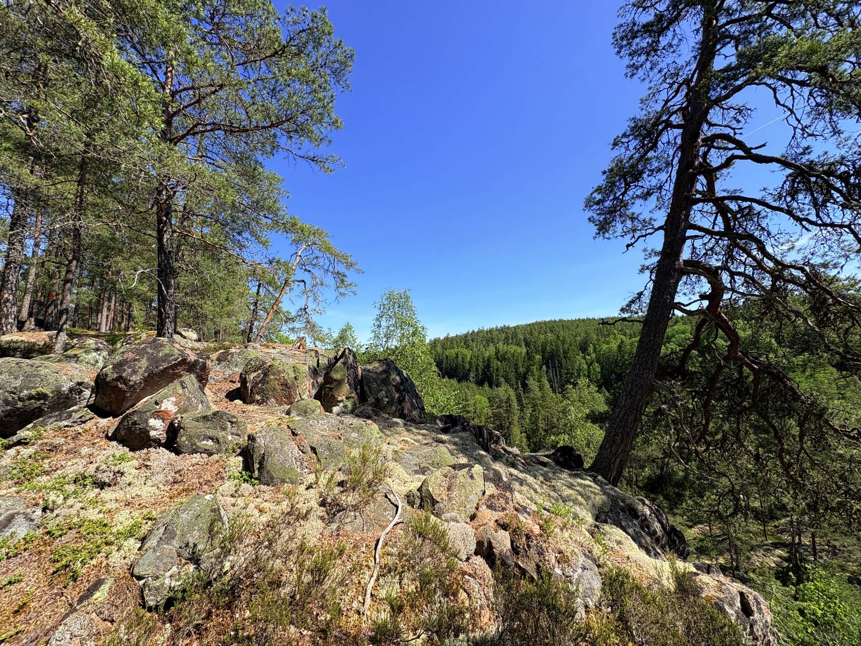 Bild ohne Beschreibung