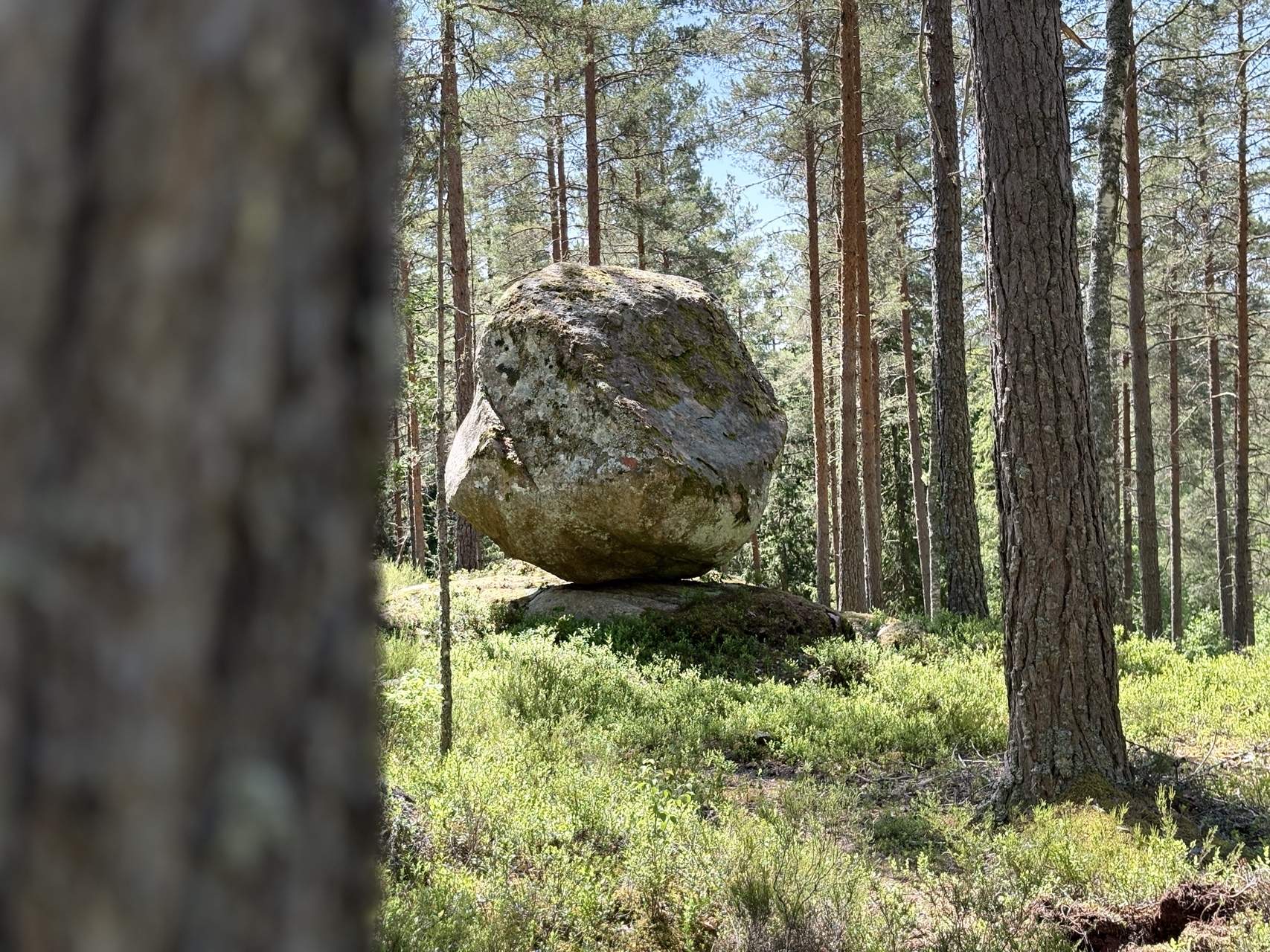 Bild ohne Beschreibung