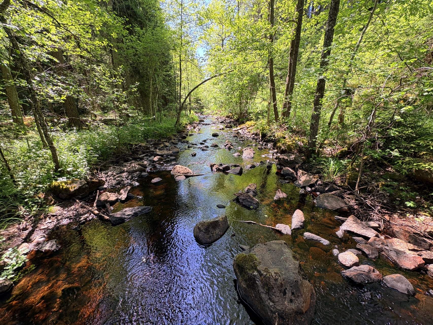 Bild ohne Beschreibung