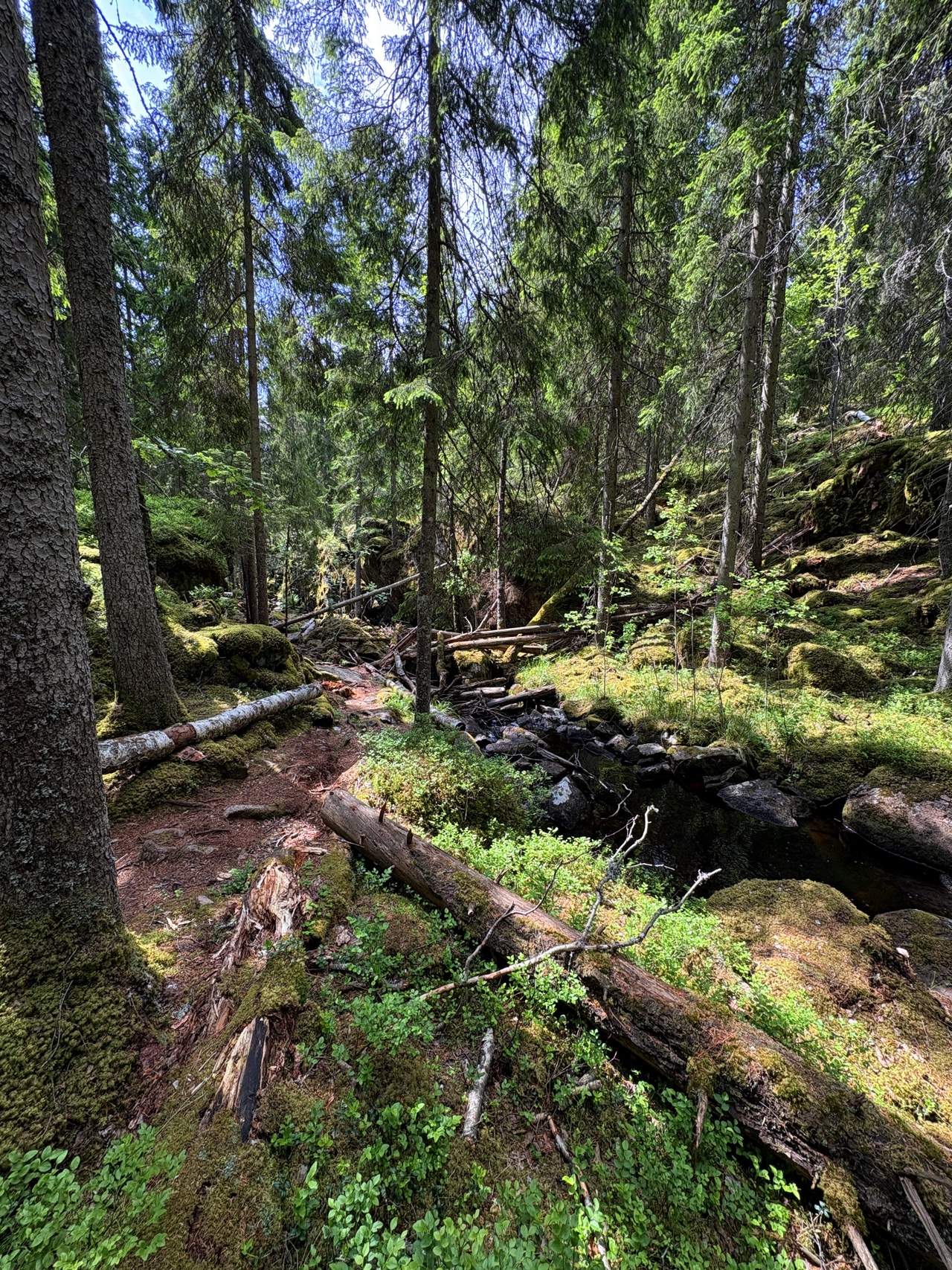 Bild ohne Beschreibung Bild ohne Beschreibung