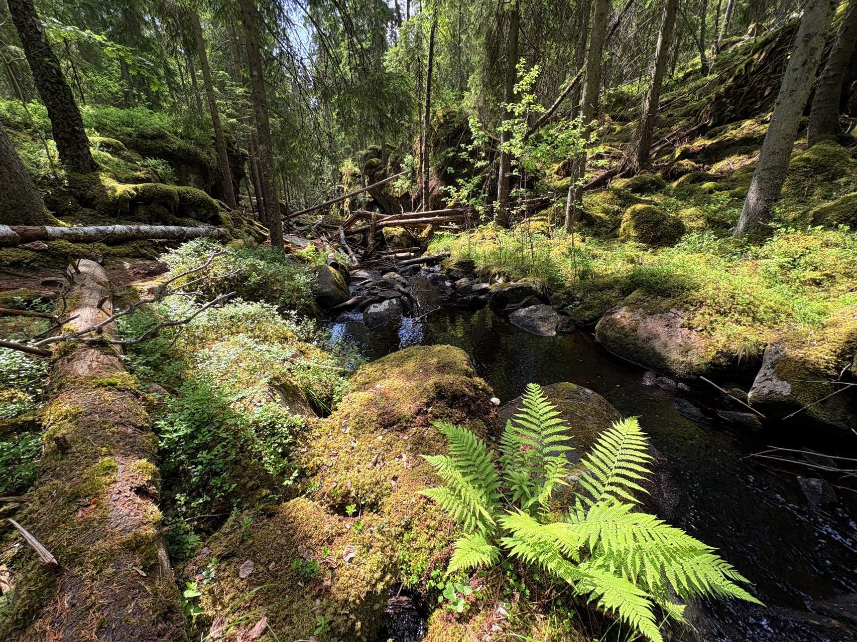Bild ohne Beschreibung Bild ohne Beschreibung