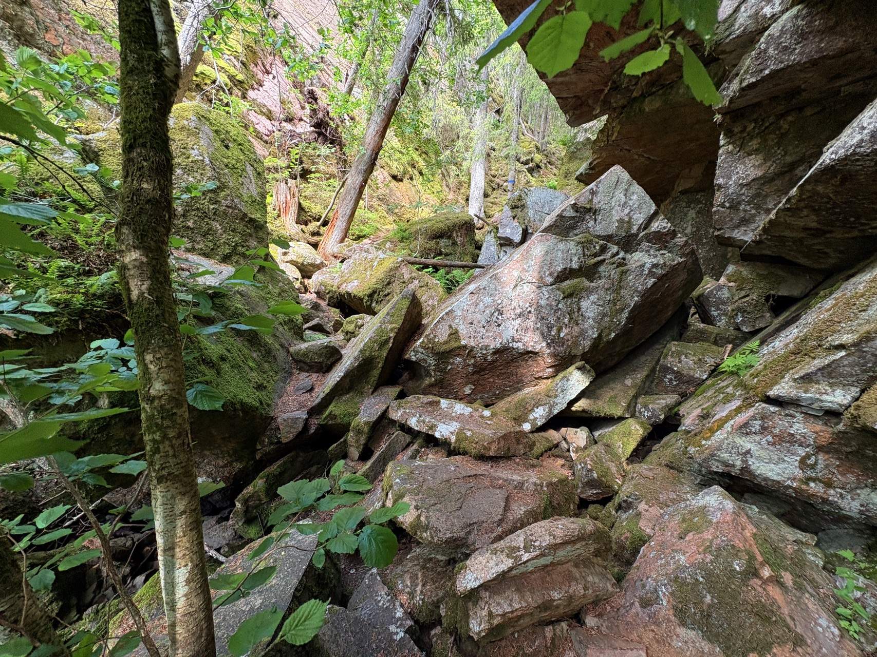 Bild ohne Beschreibung Bild ohne Beschreibung