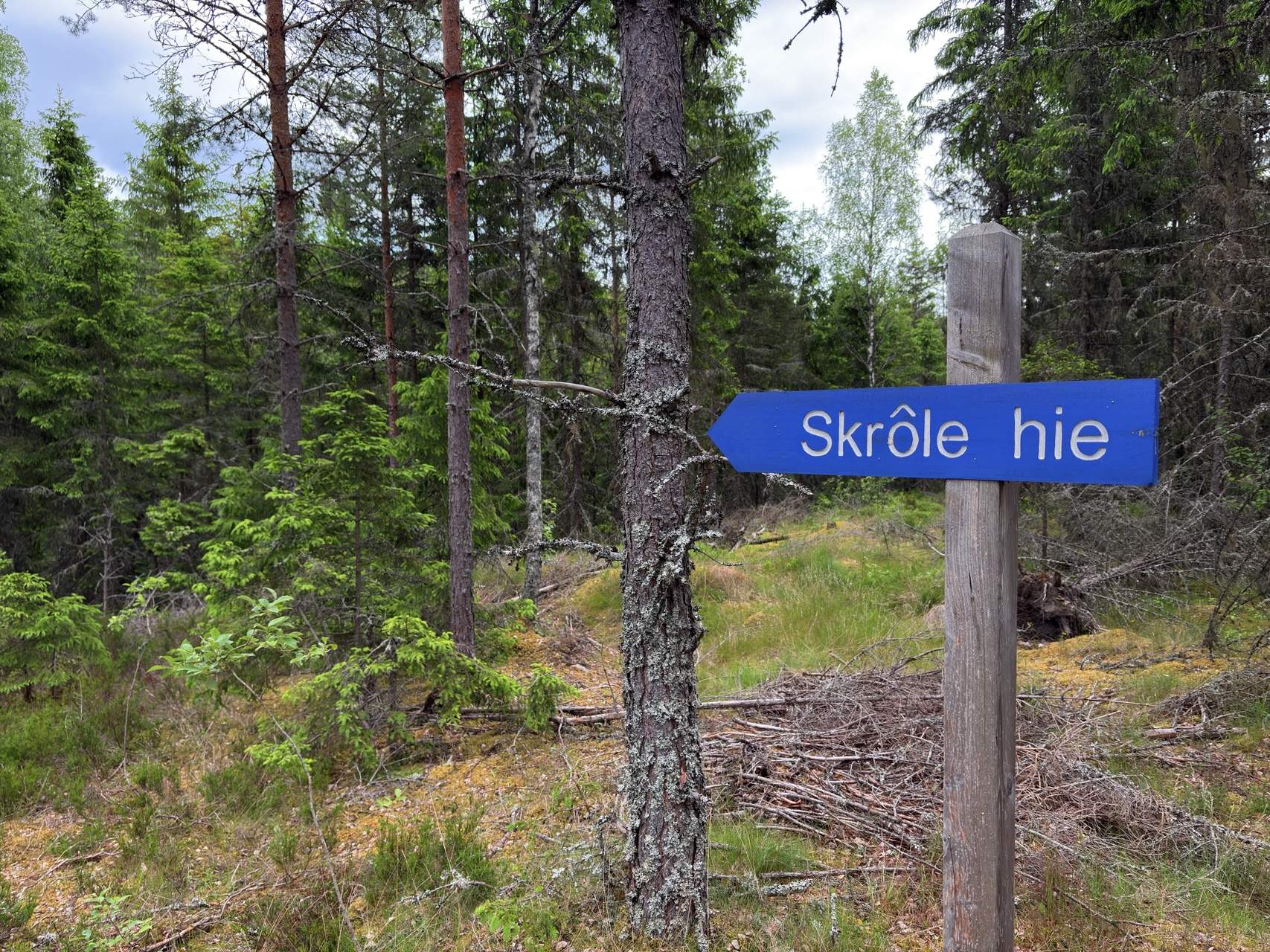 Bild ohne Beschreibung Bild ohne Beschreibung