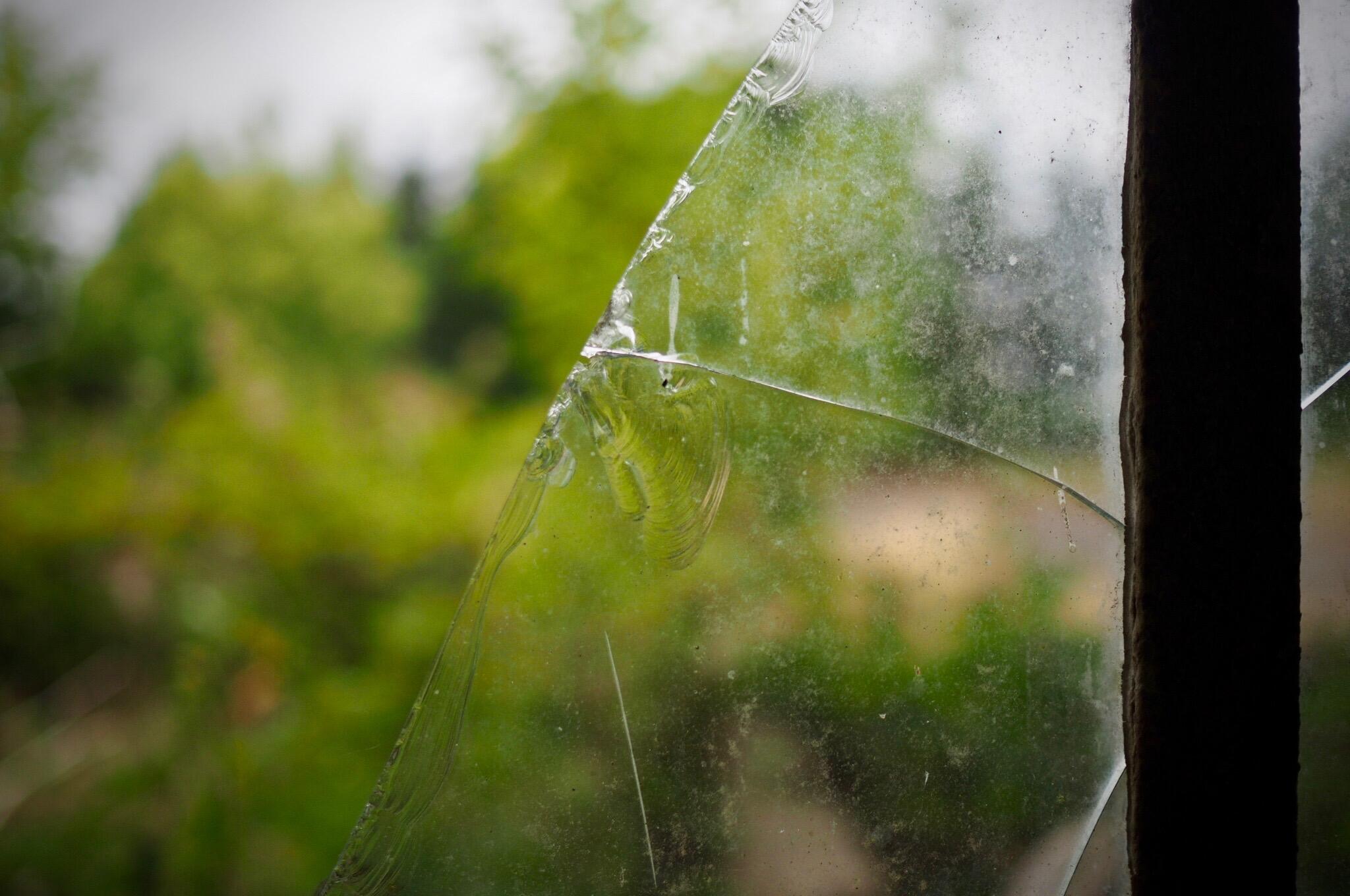 Bild ohne Beschreibung