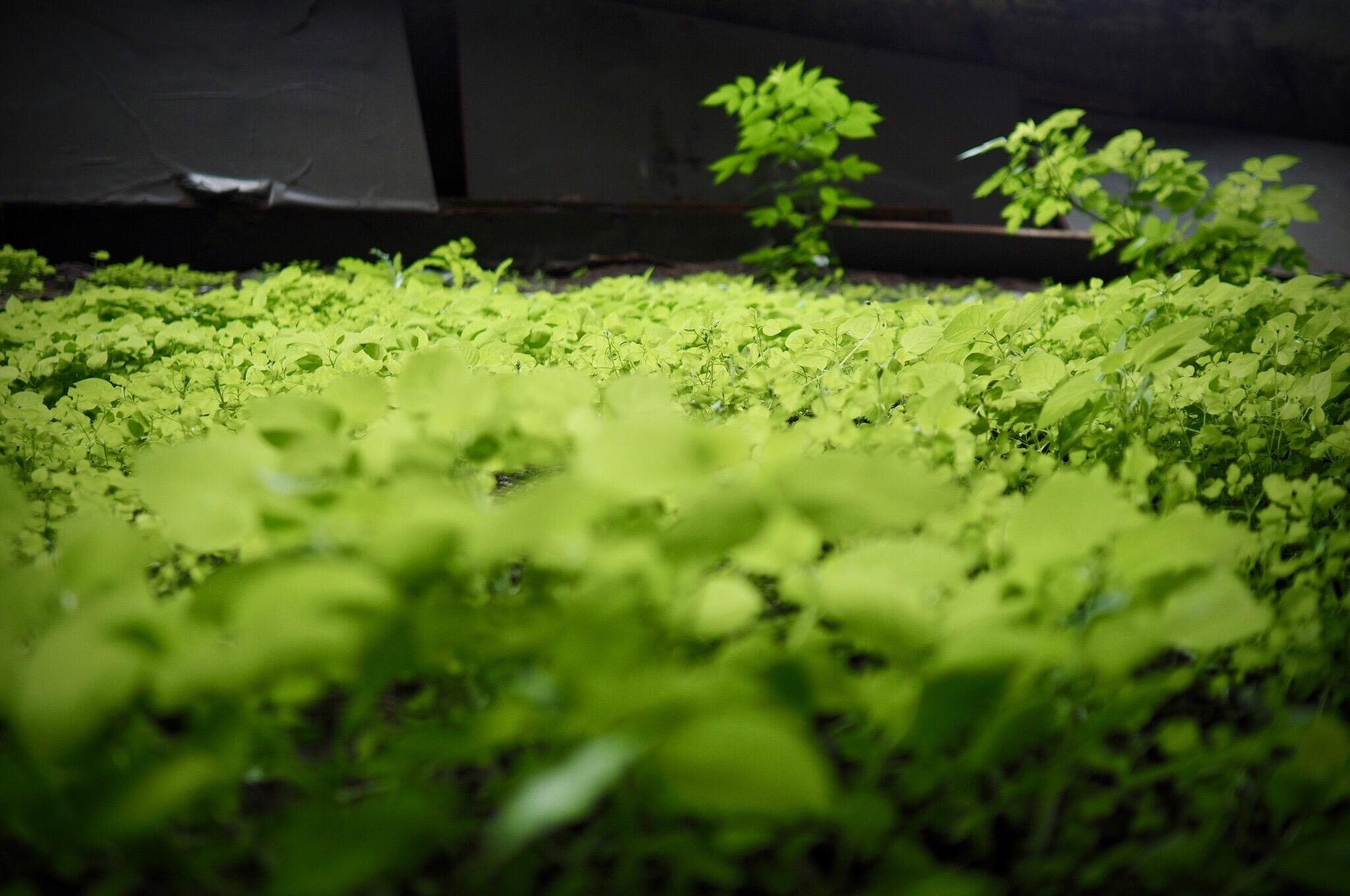 Bild ohne Beschreibung