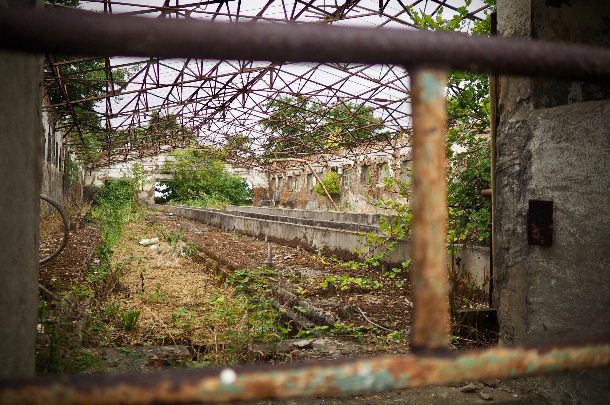 Bild ohne Beschreibung Bild ohne Beschreibung