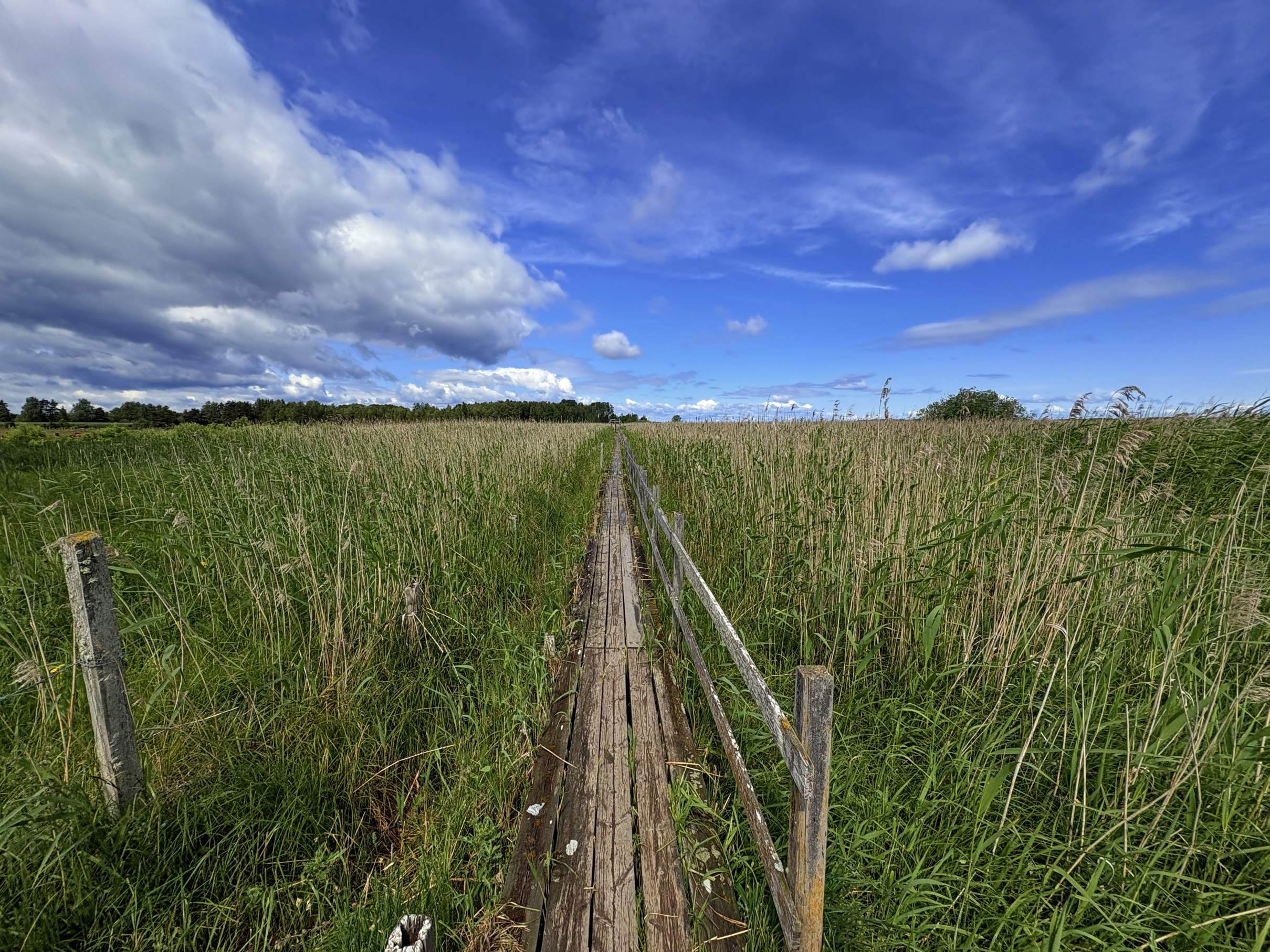 Bild ohne Beschreibung Bild ohne Beschreibung