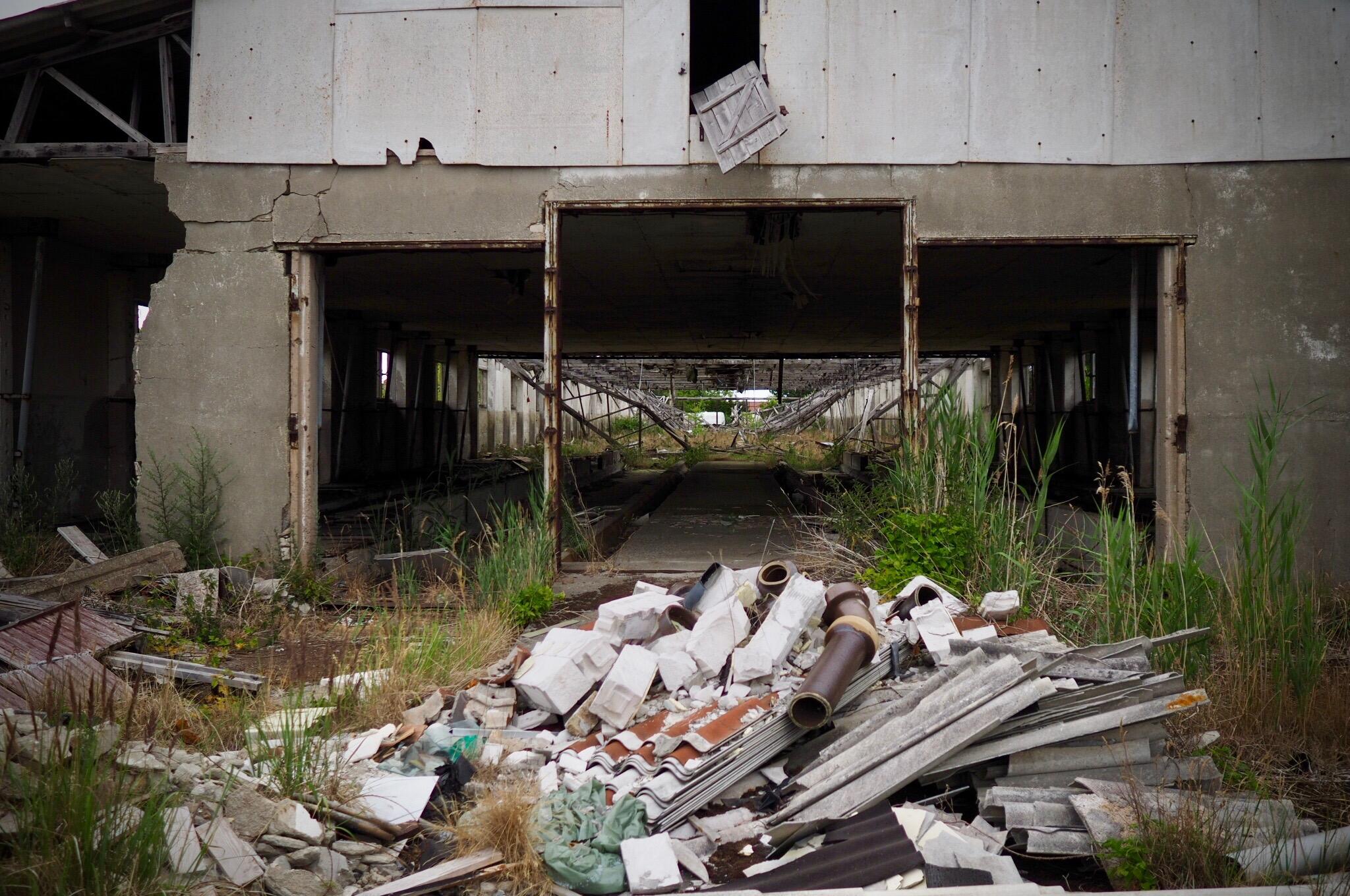 Bild ohne Beschreibung