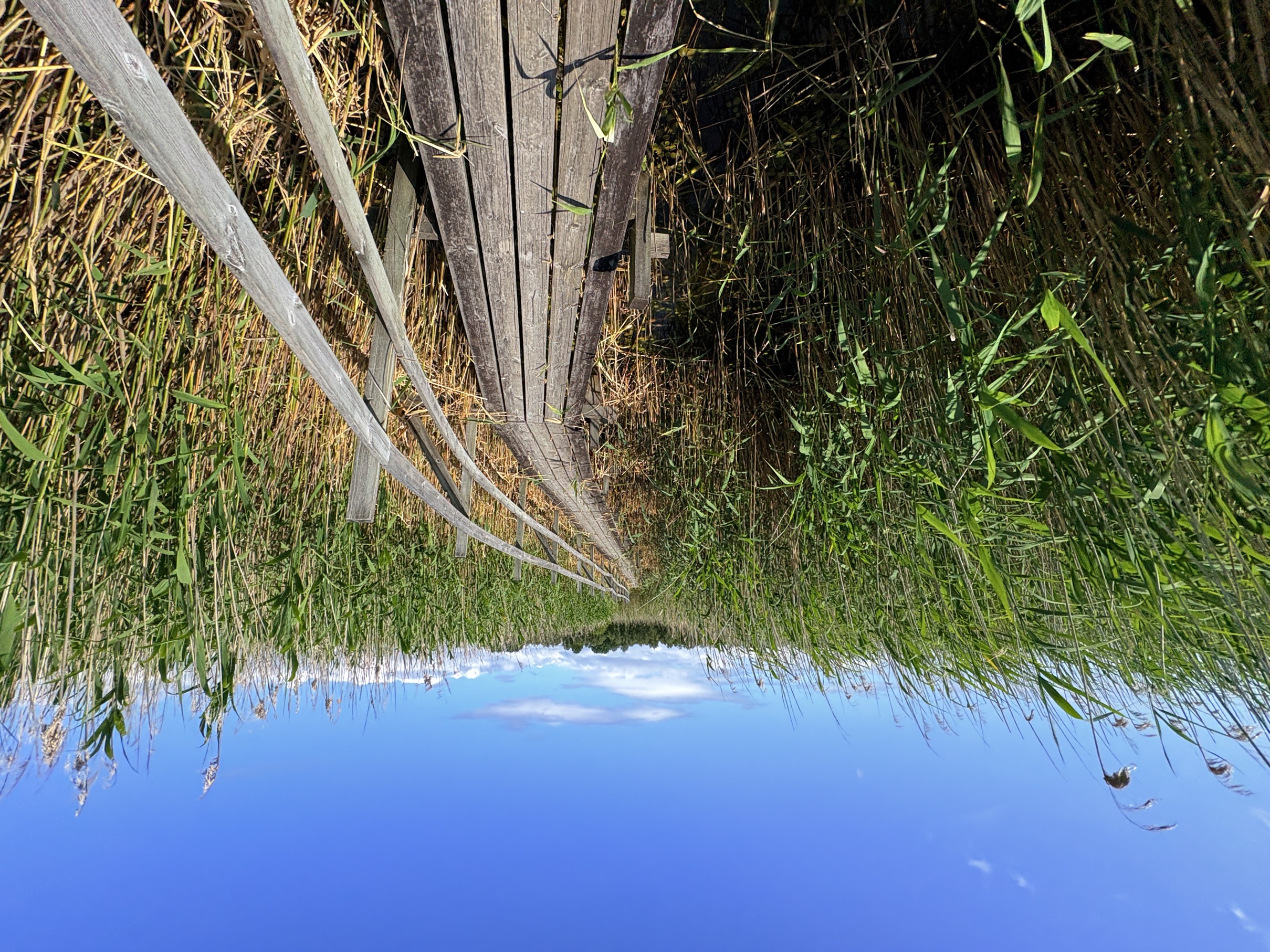 Bild ohne Beschreibung Bild ohne Beschreibung