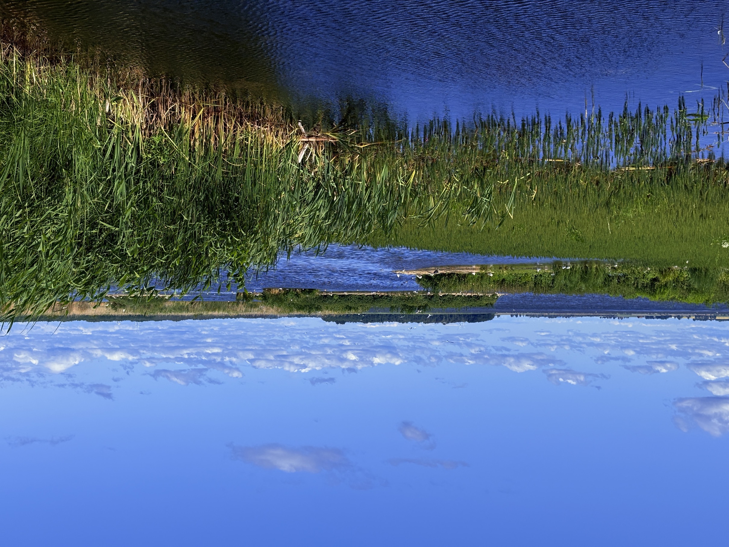 Bild ohne Beschreibung Bild ohne Beschreibung