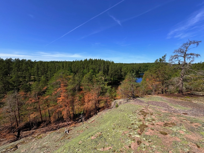 Bild ohne Beschreibung Bild ohne Beschreibung