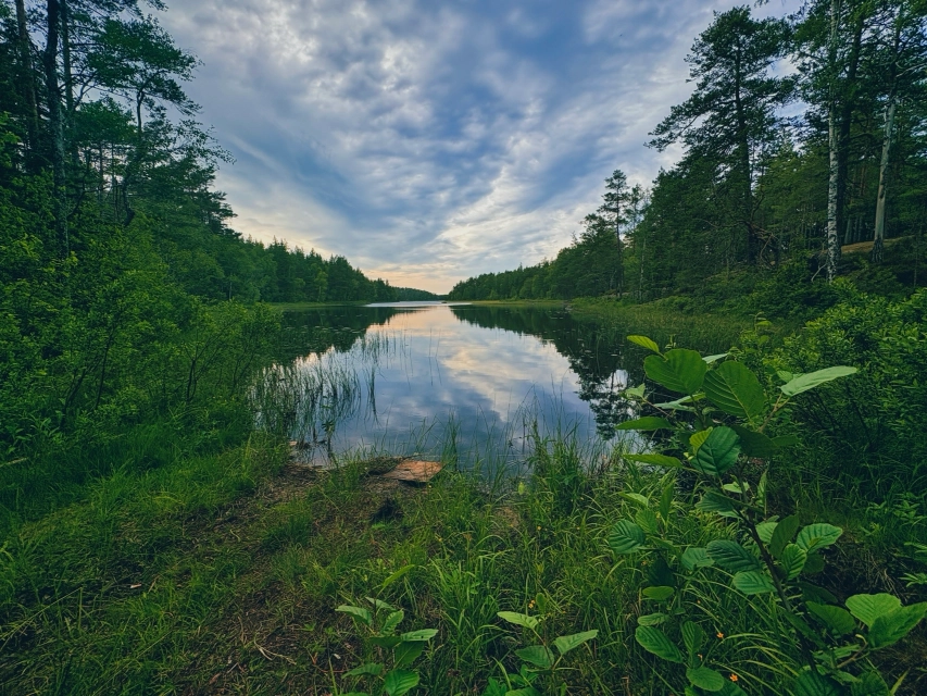 Bild ohne Beschreibung Bild ohne Beschreibung
