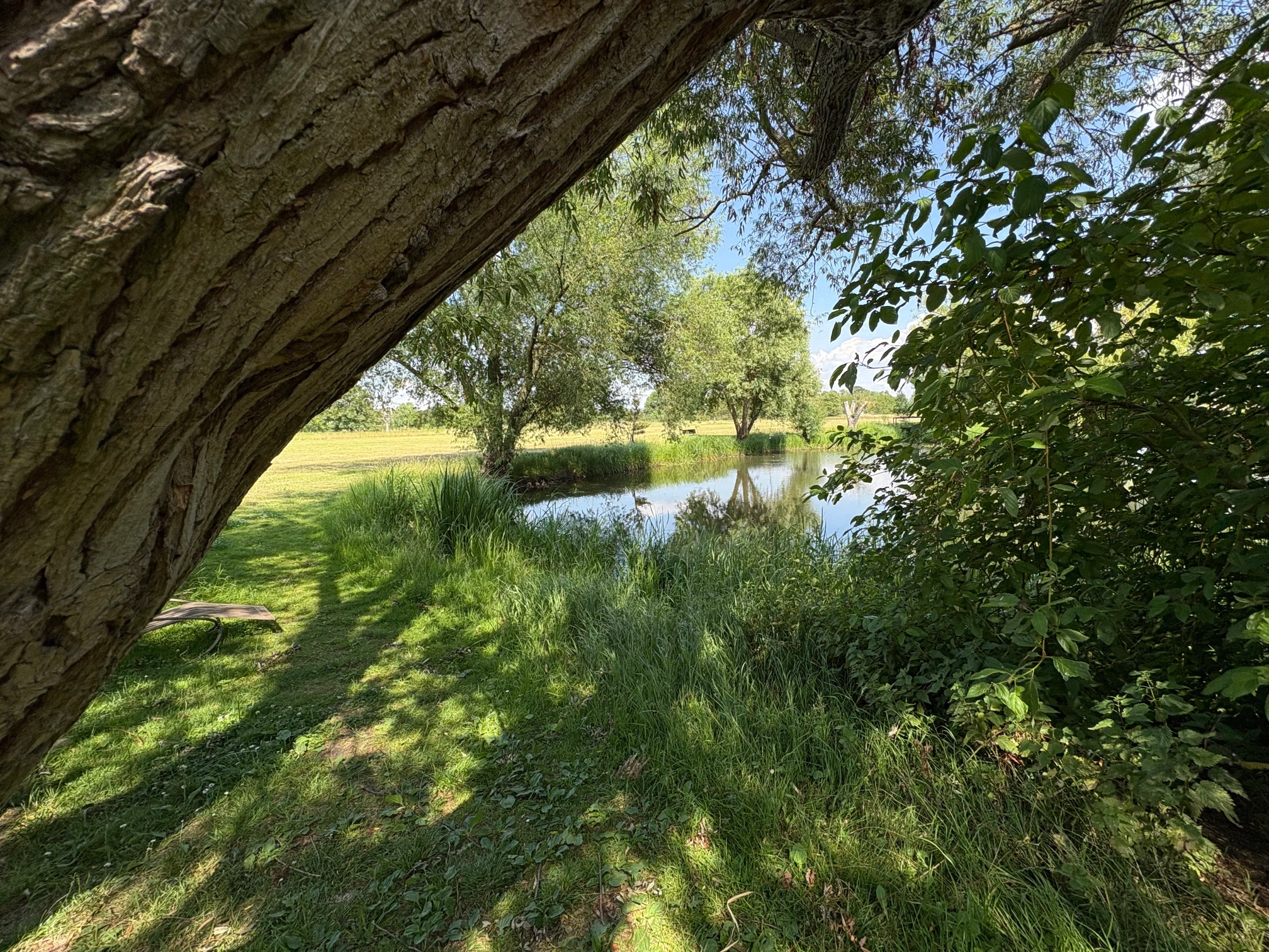 Bild ohne Beschreibung Bild ohne Beschreibung