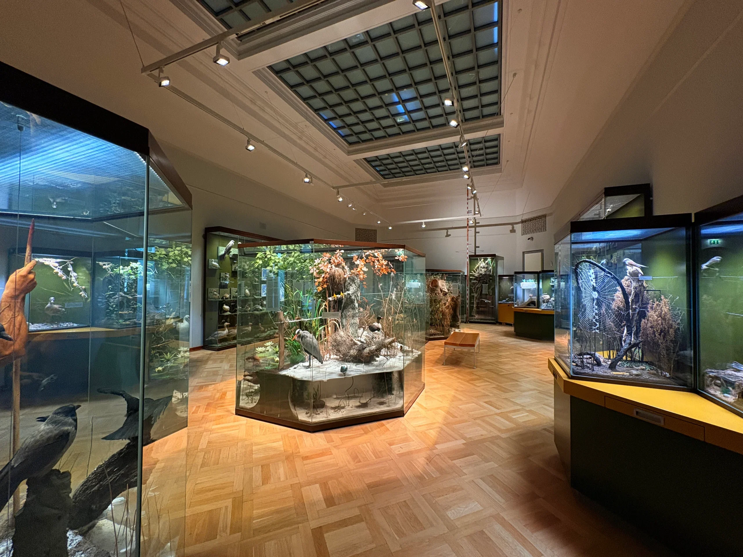 Bild ohne Beschreibung Bild ohne Beschreibung