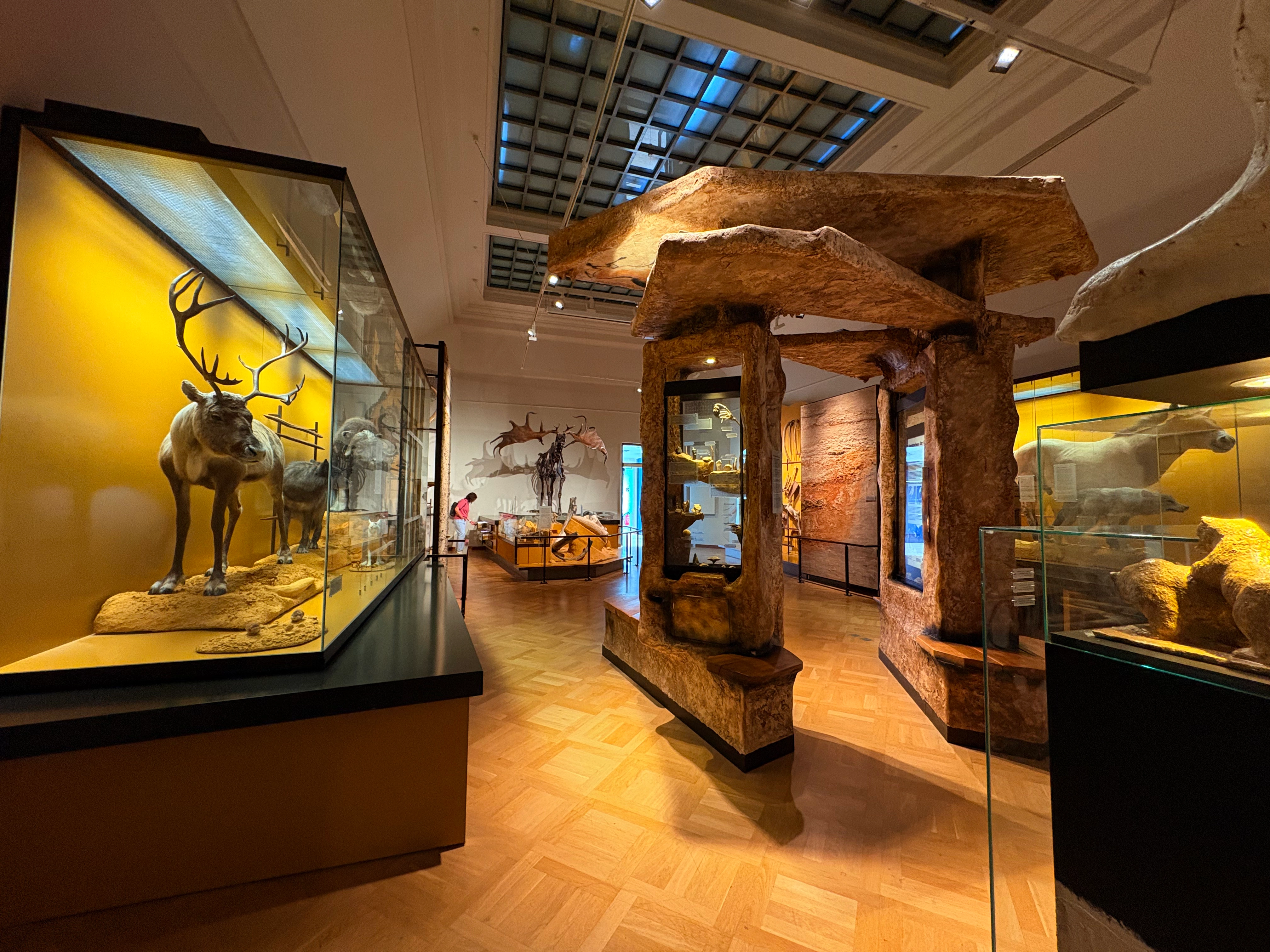 Bild ohne Beschreibung Bild ohne Beschreibung