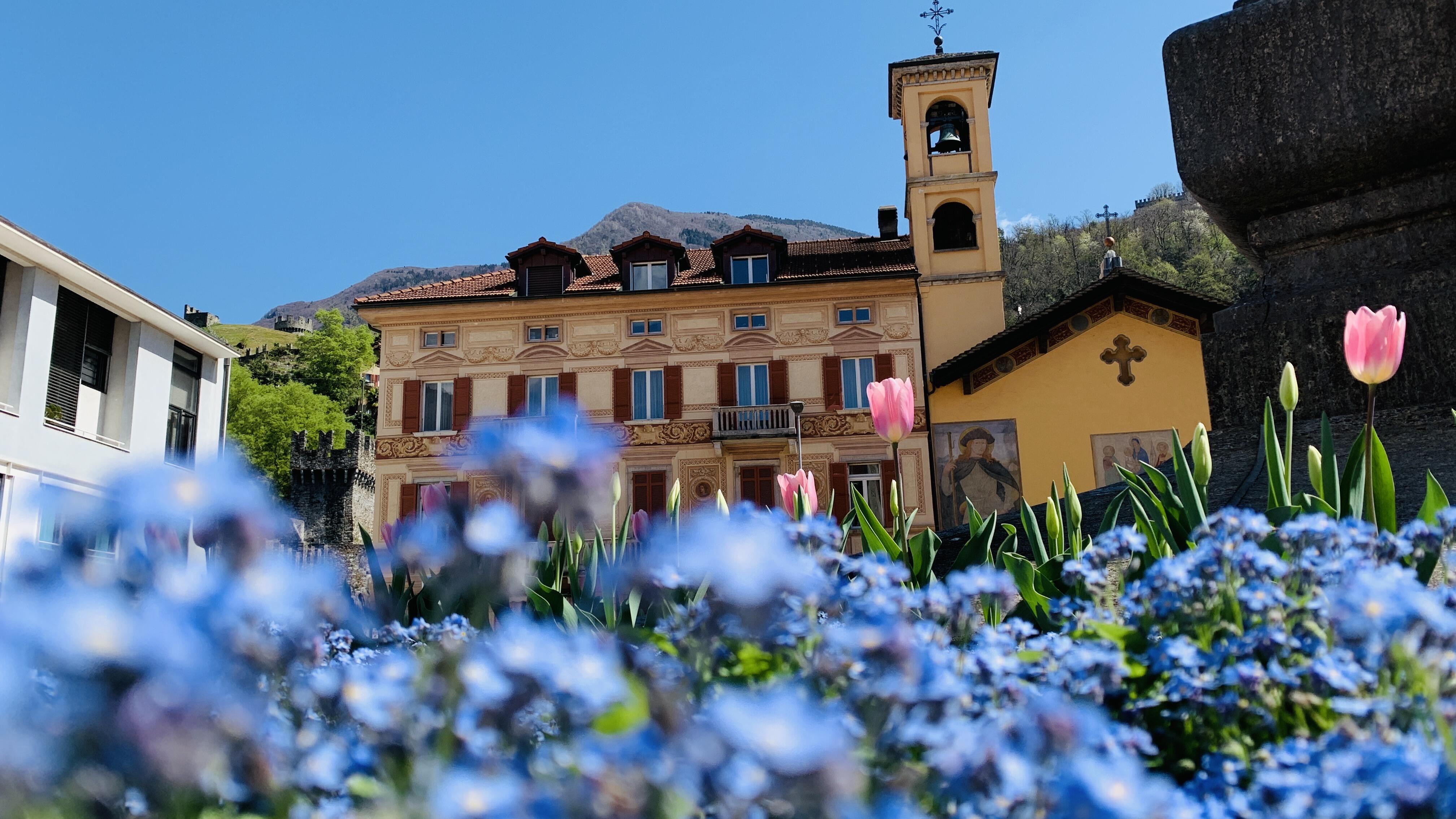Bild ohne Beschreibung Bild ohne Beschreibung