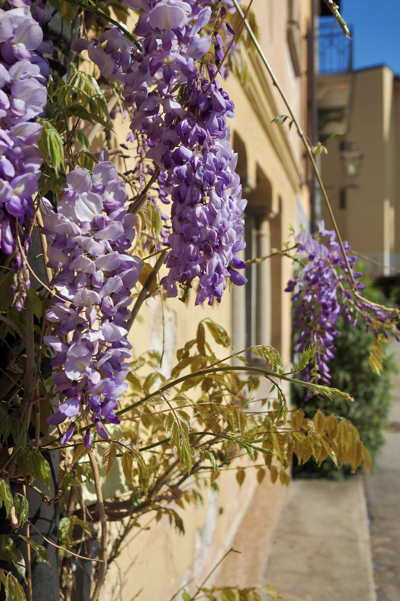 Bild ohne Beschreibung Bild ohne Beschreibung