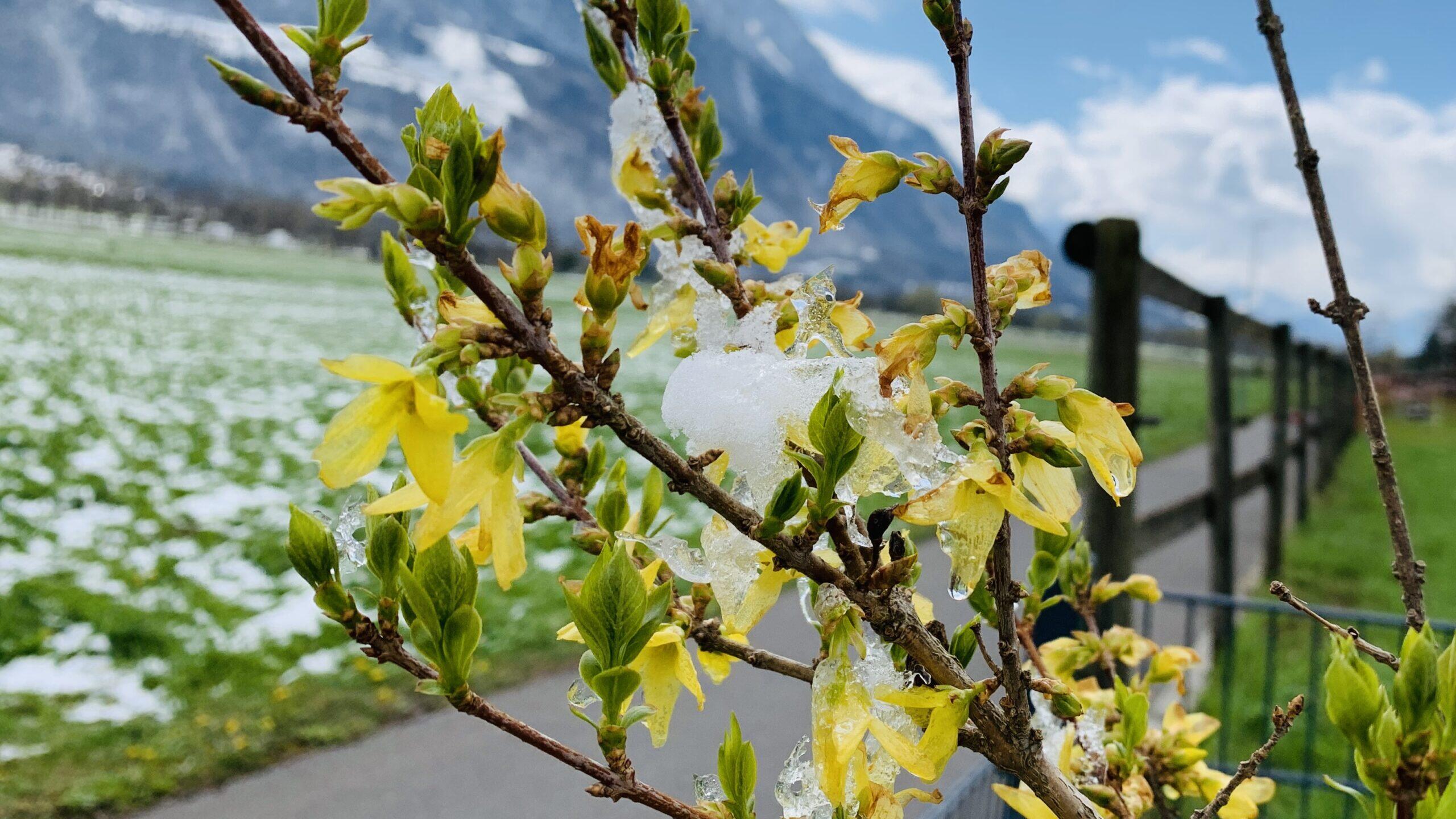 Bild ohne Beschreibung