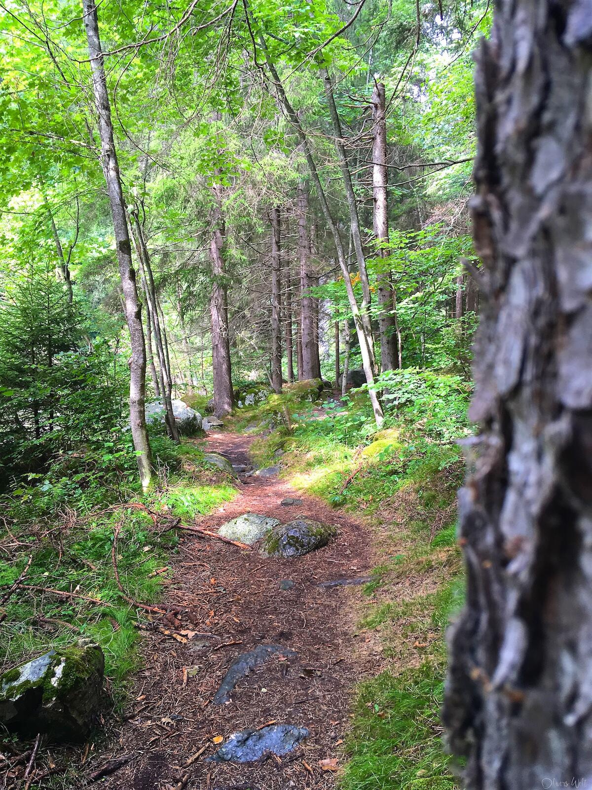 Bild ohne Beschreibung Bild ohne Beschreibung