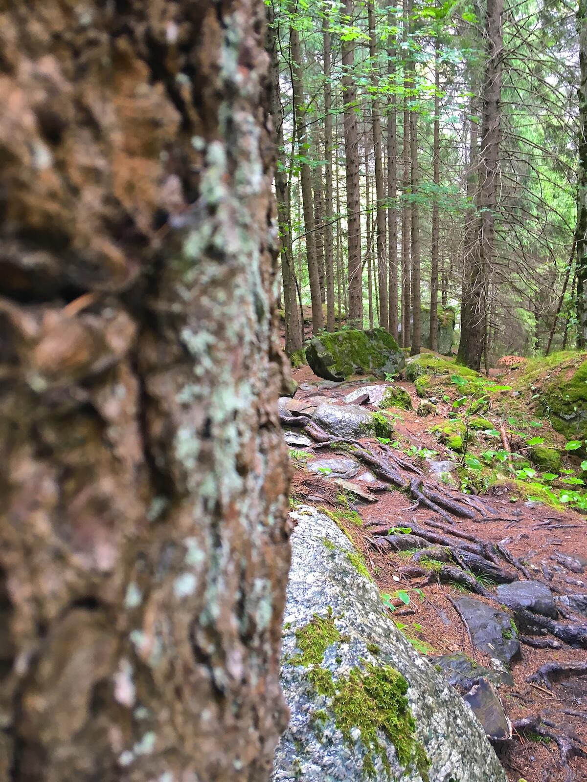 Bild ohne Beschreibung Bild ohne Beschreibung