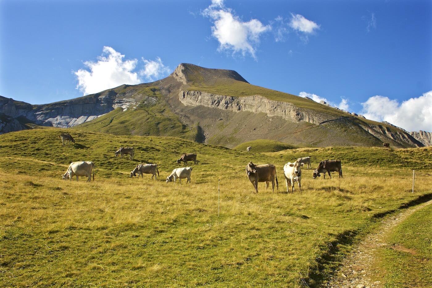 Bild ohne Beschreibung Bild ohne Beschreibung
