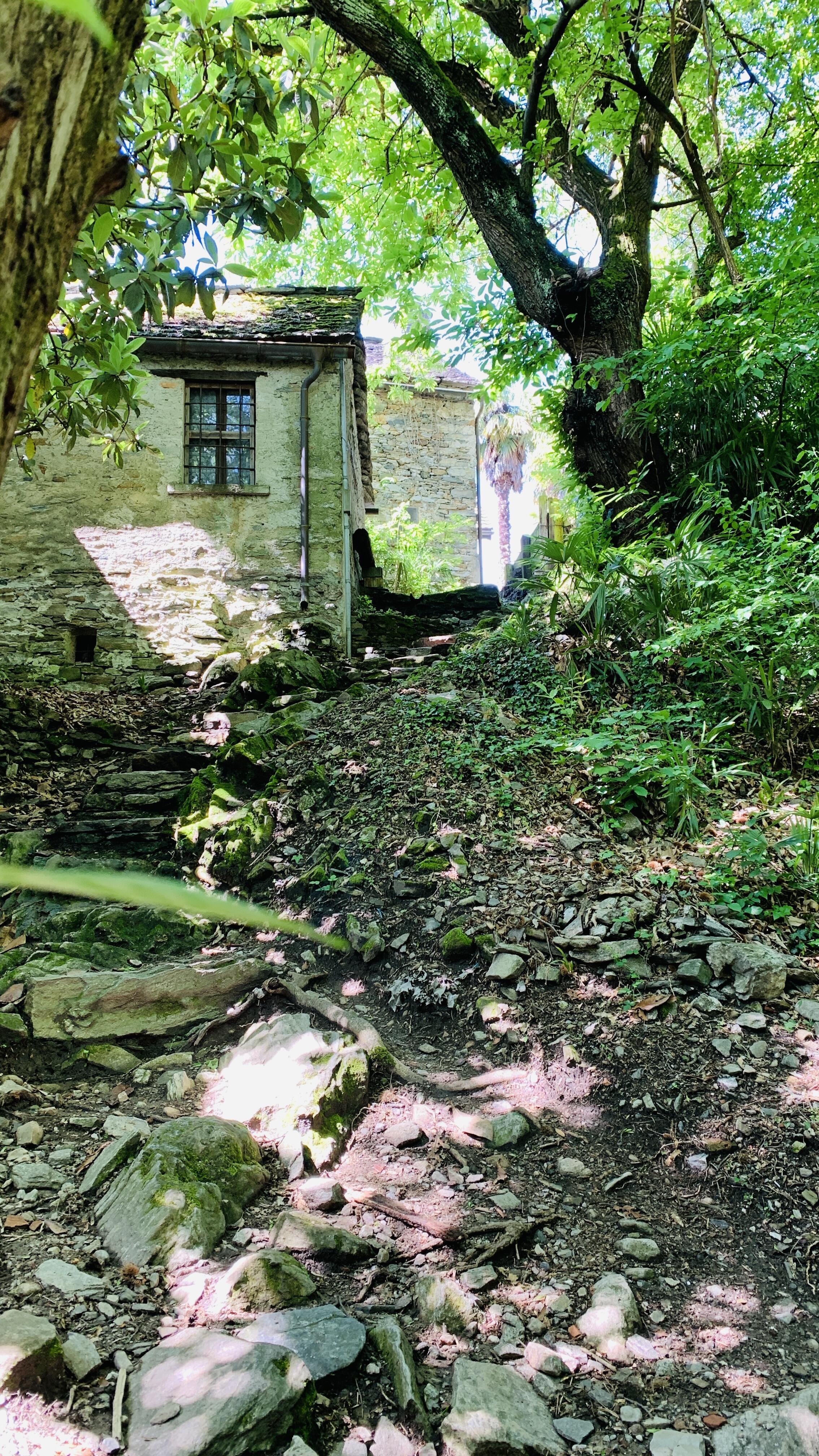 Bild ohne Beschreibung Bild ohne Beschreibung