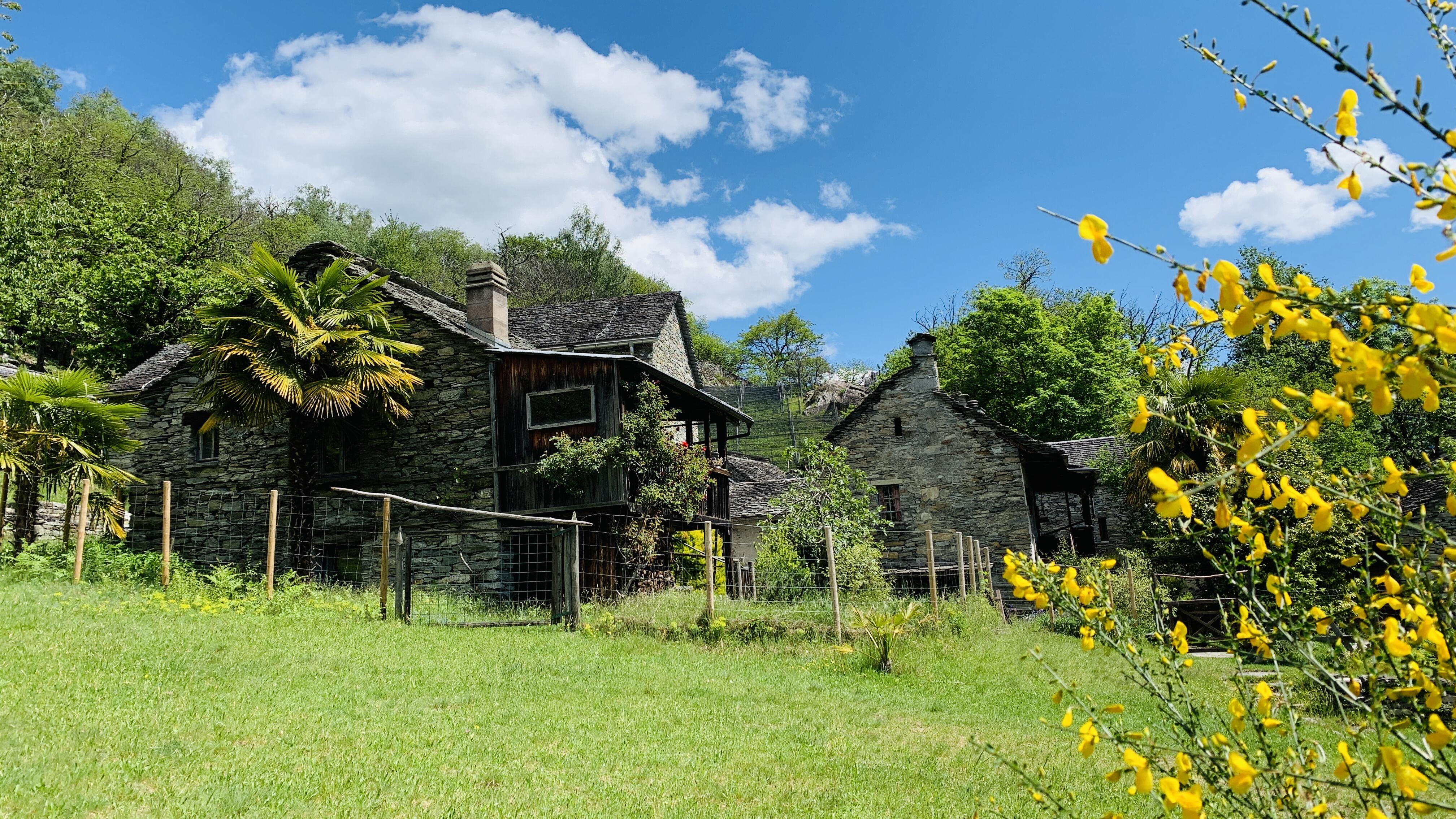 Bild ohne Beschreibung Bild ohne Beschreibung