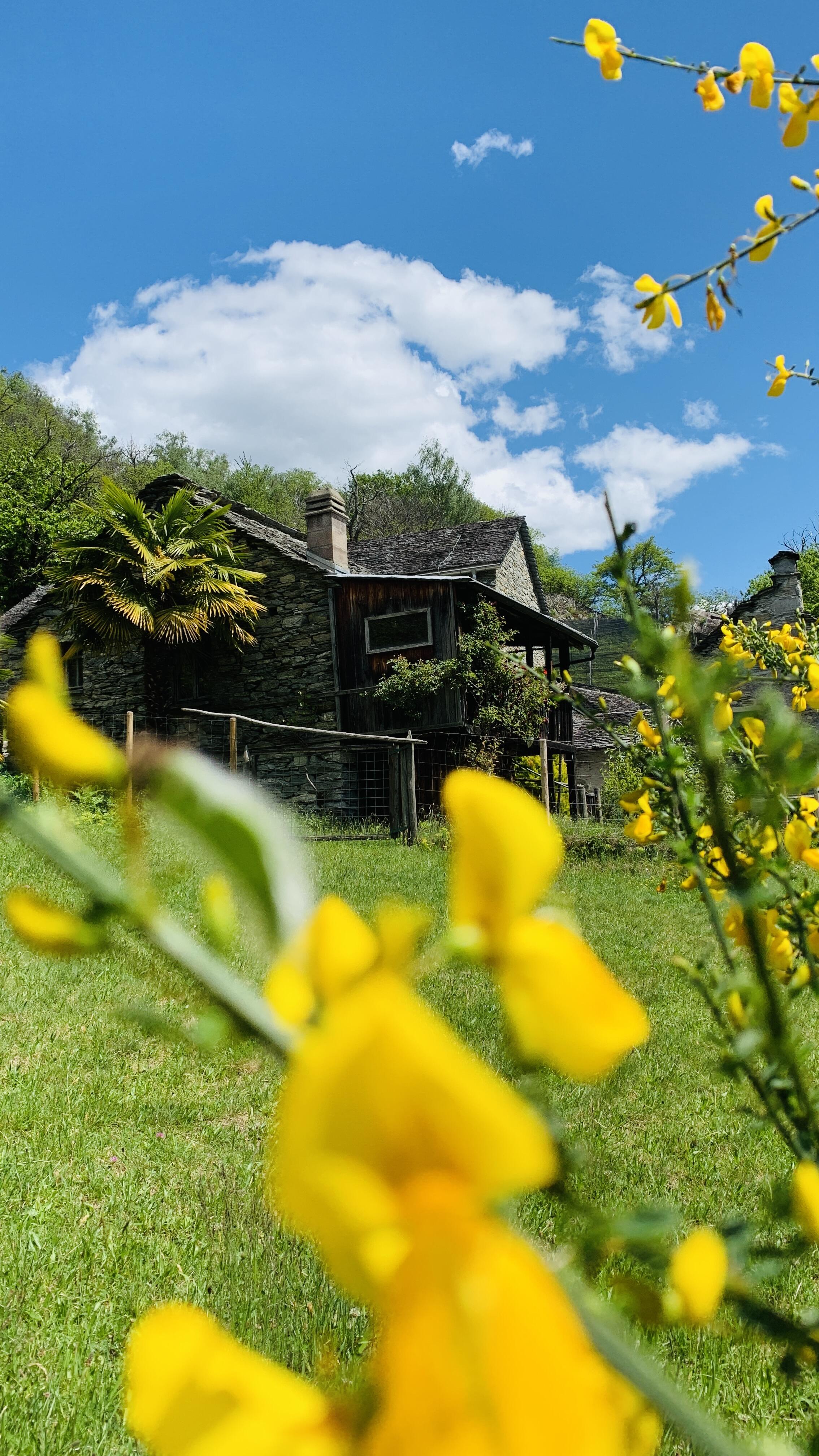 Bild ohne Beschreibung Bild ohne Beschreibung