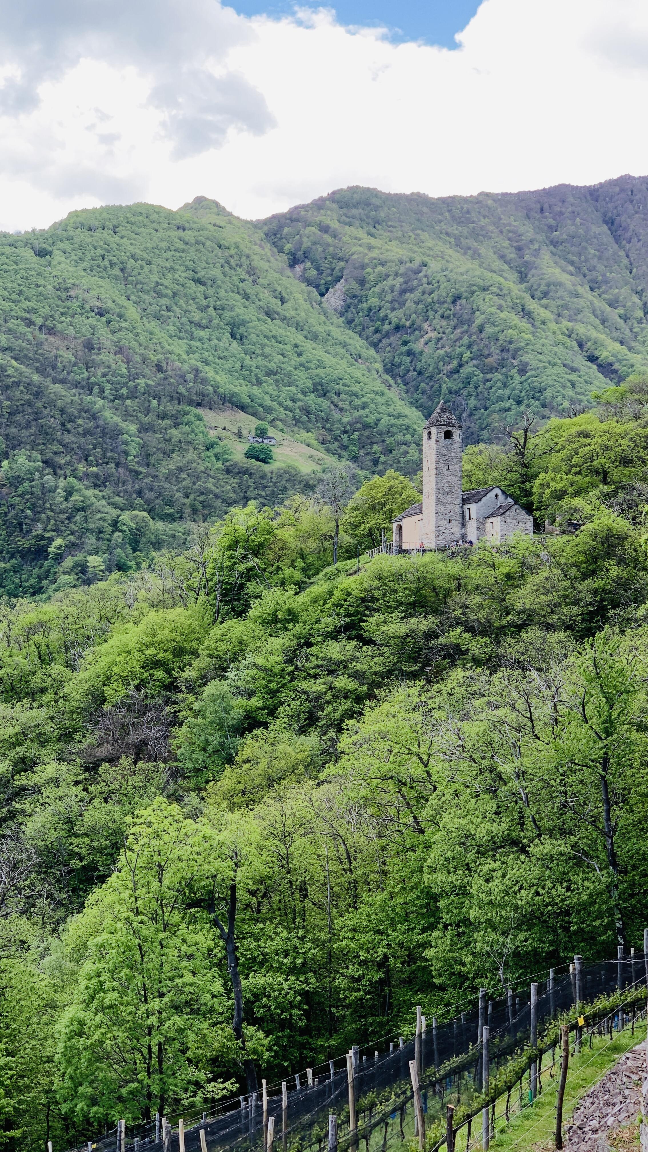 Bild ohne Beschreibung Bild ohne Beschreibung