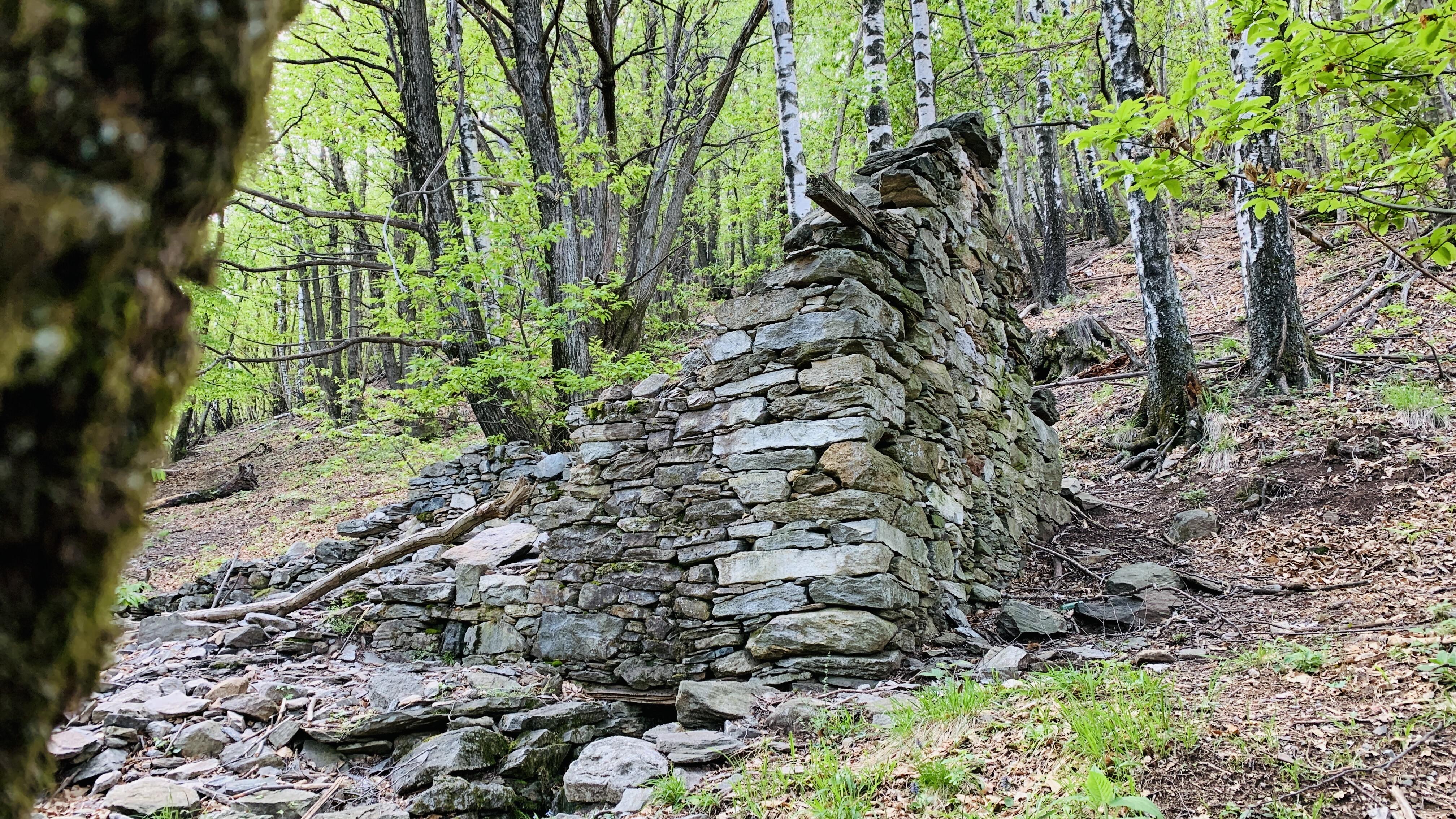 Bild ohne Beschreibung Bild ohne Beschreibung