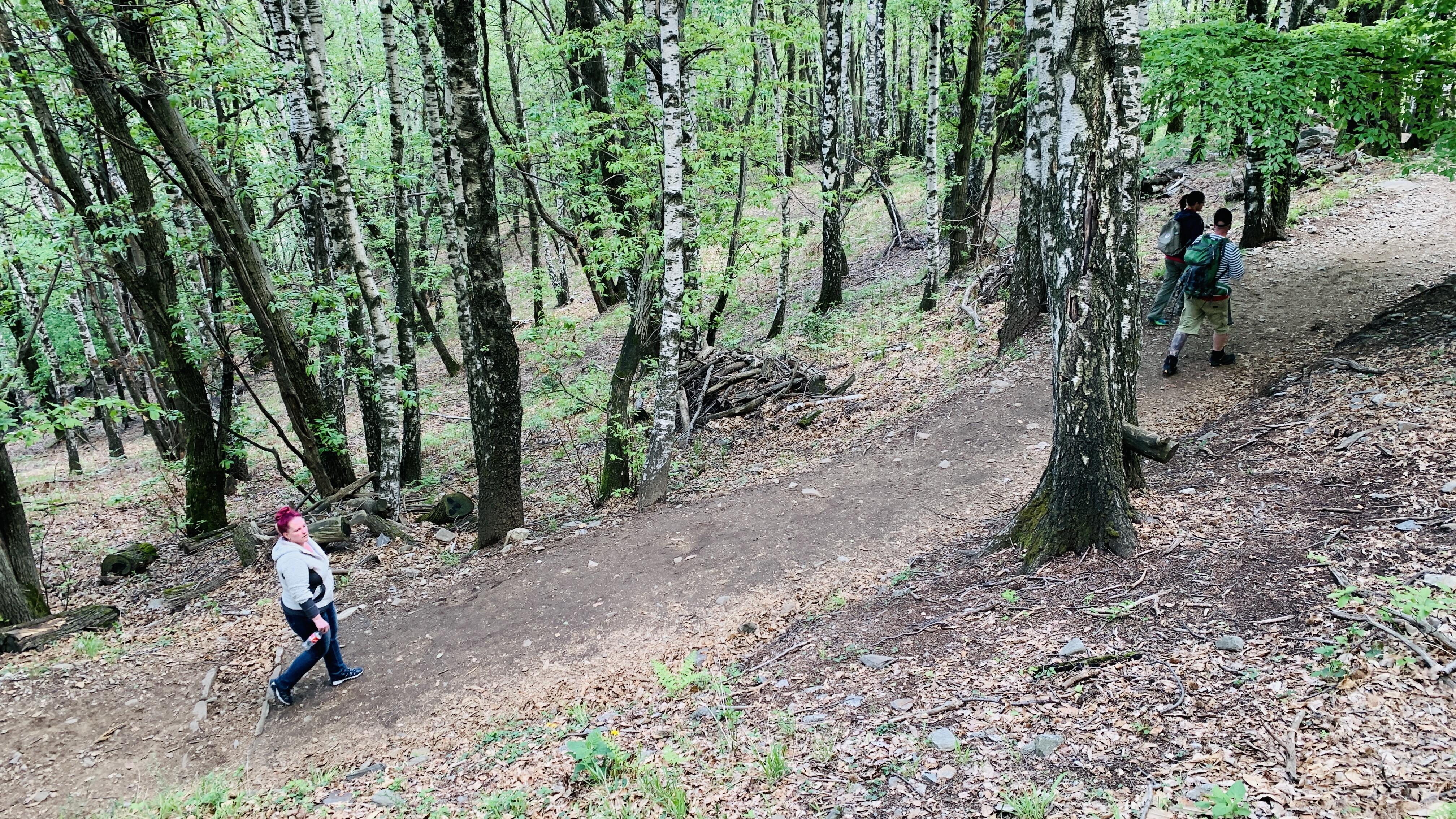 Bild ohne Beschreibung Bild ohne Beschreibung