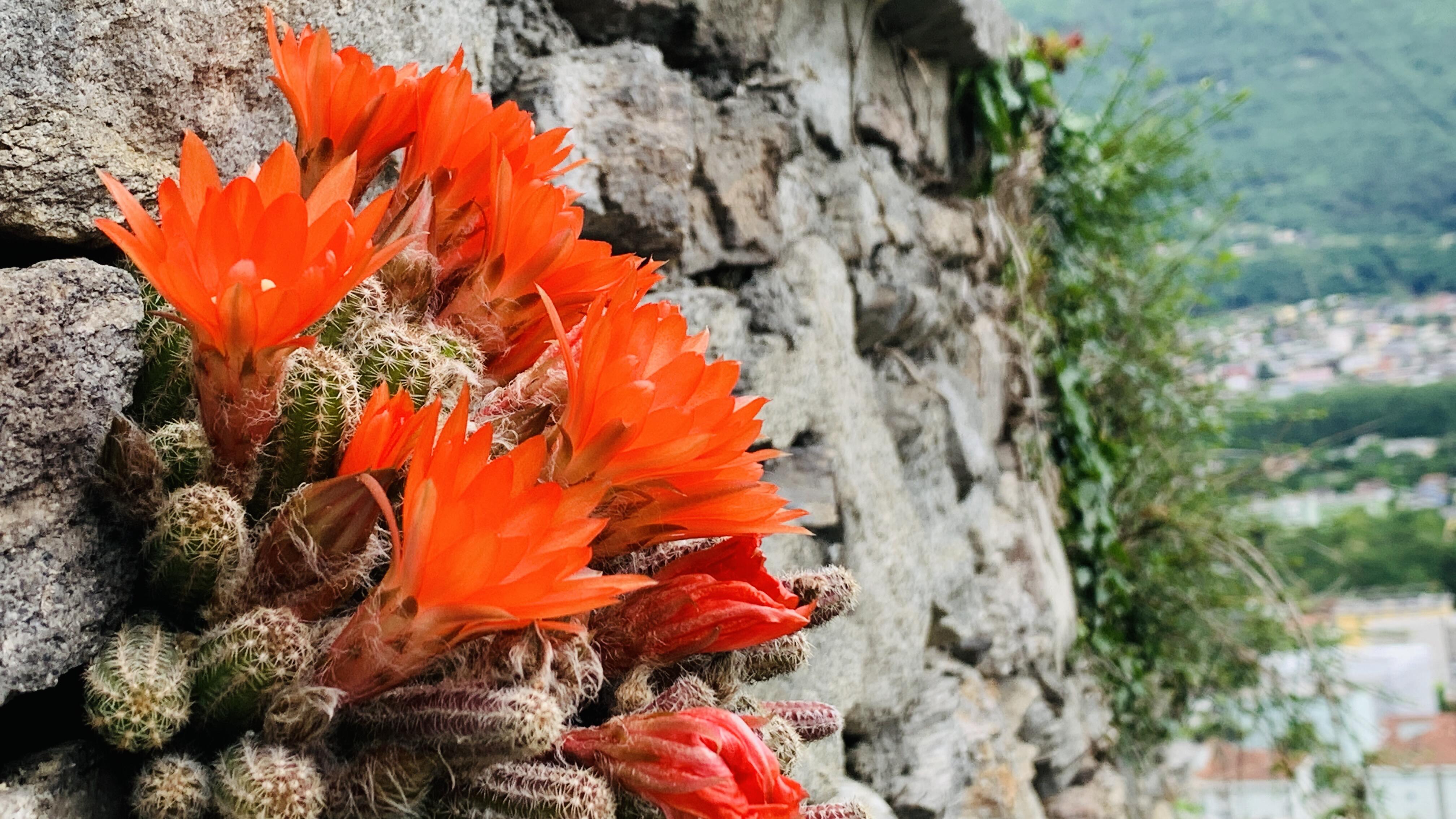 Bild ohne Beschreibung Bild ohne Beschreibung