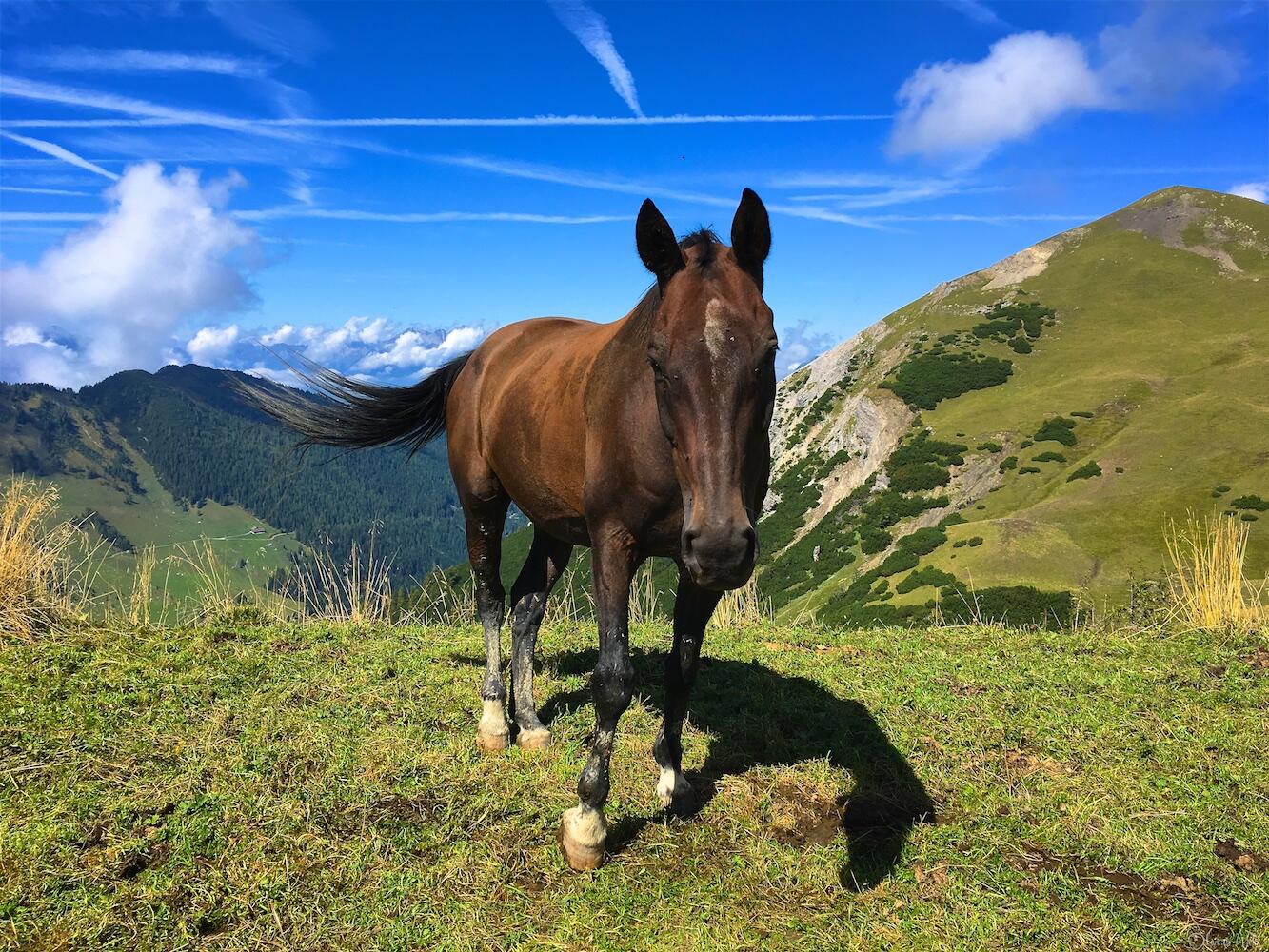 Bild ohne Beschreibung Bild ohne Beschreibung