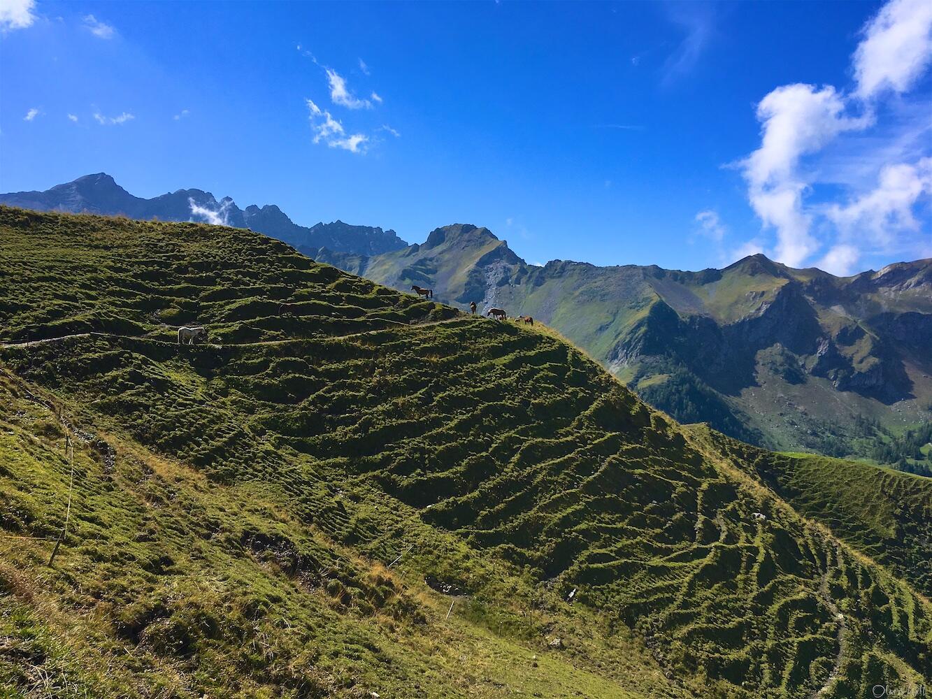 Bild ohne Beschreibung Bild ohne Beschreibung