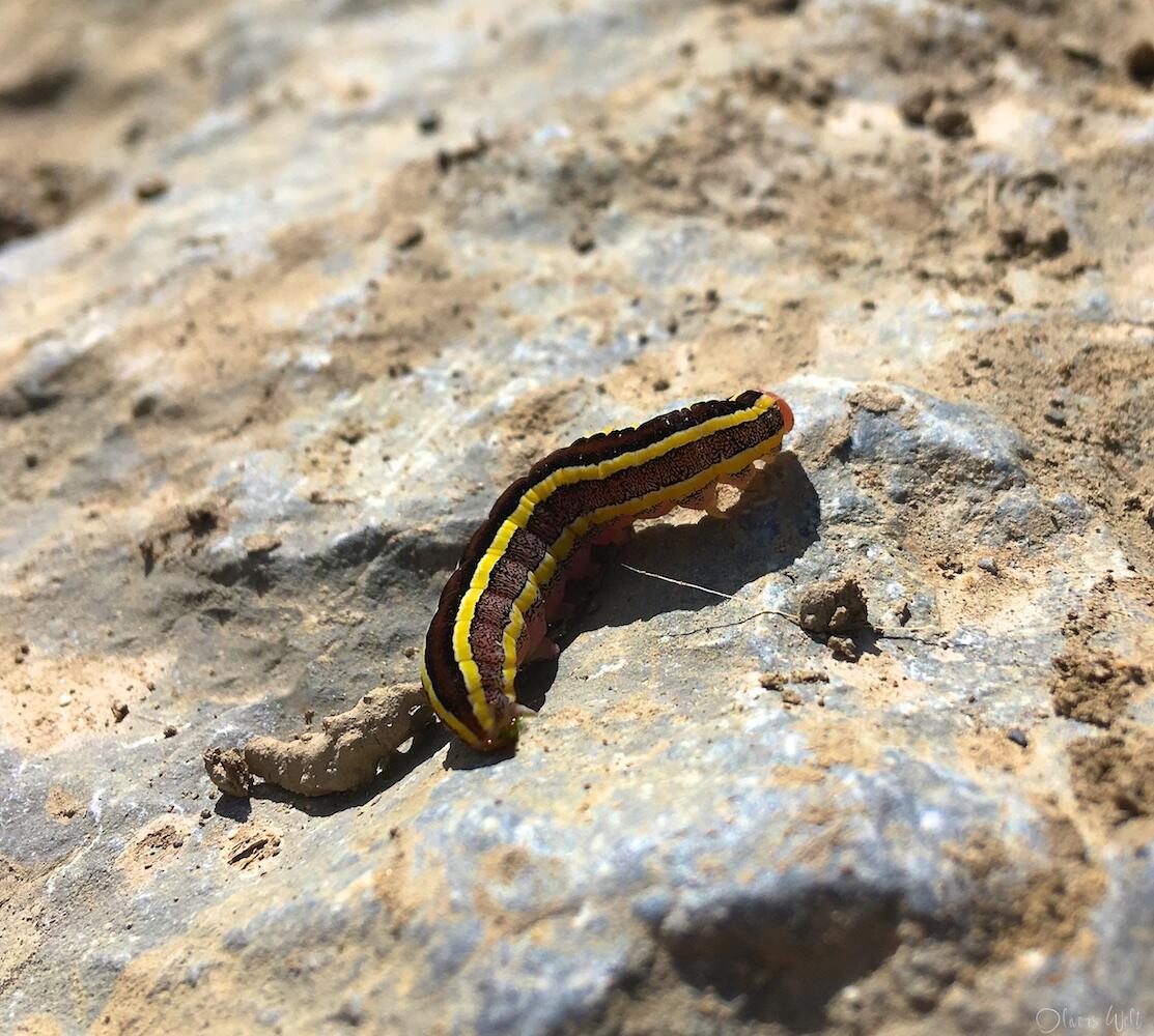 Bild ohne Beschreibung Bild ohne Beschreibung