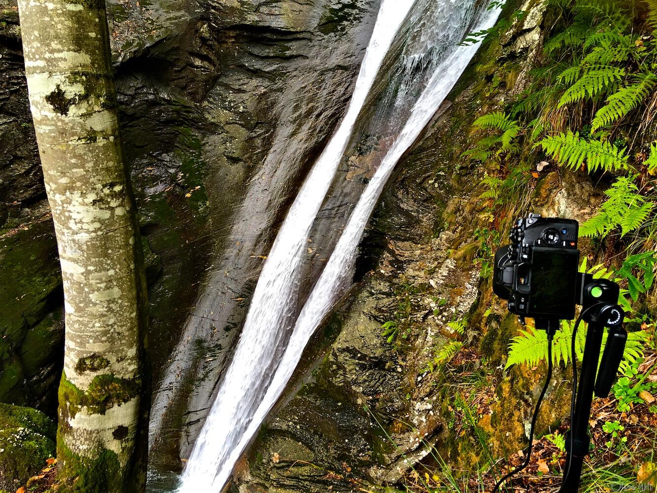 Bild ohne Beschreibung