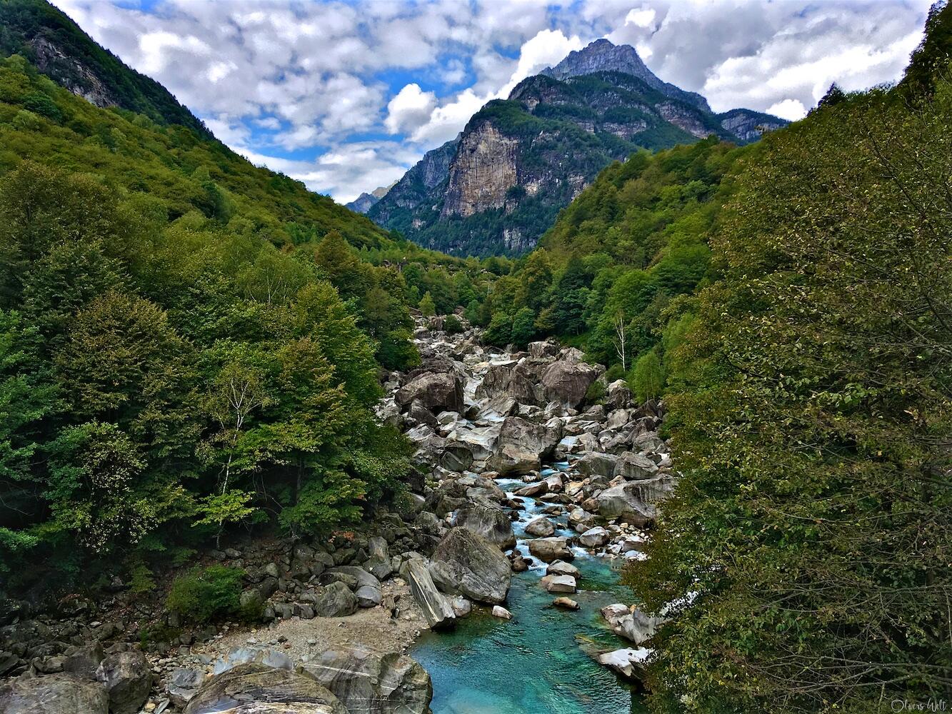 Bild ohne Beschreibung