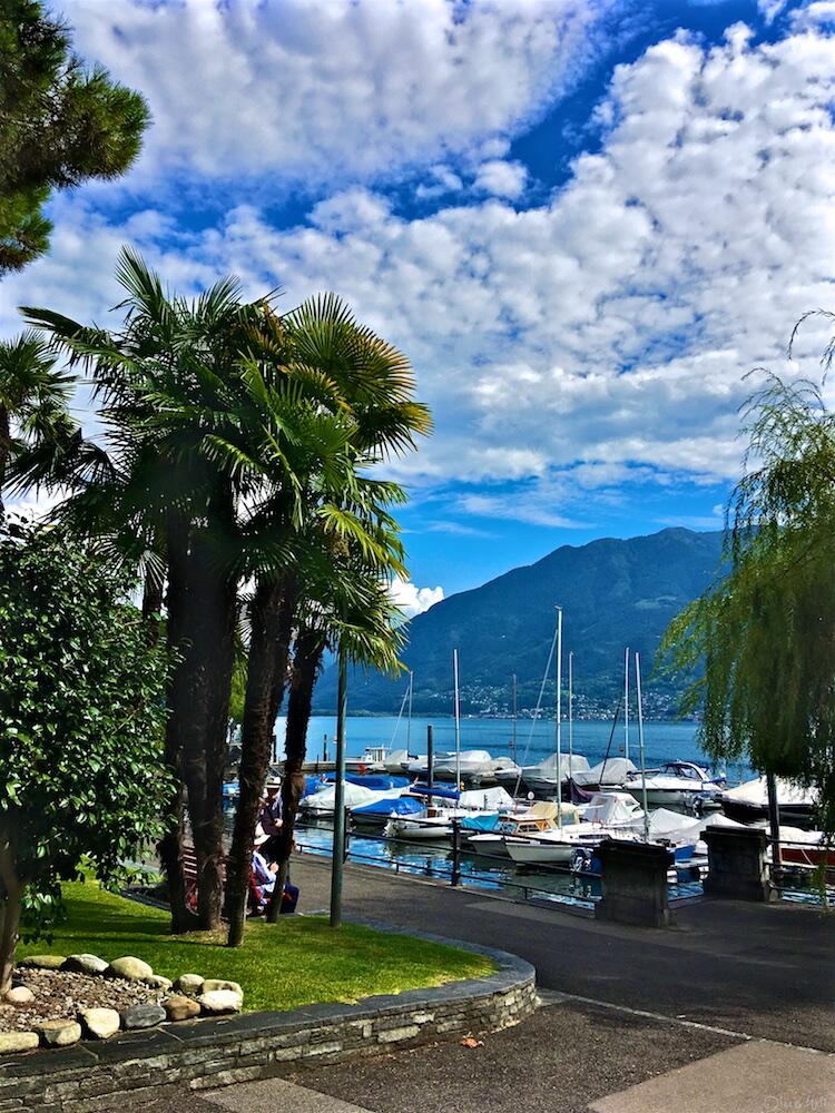 Bild ohne Beschreibung