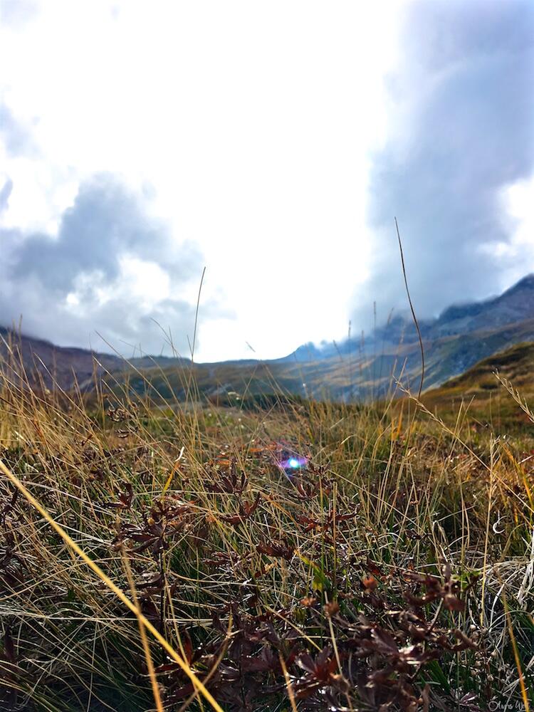 Bild ohne Beschreibung