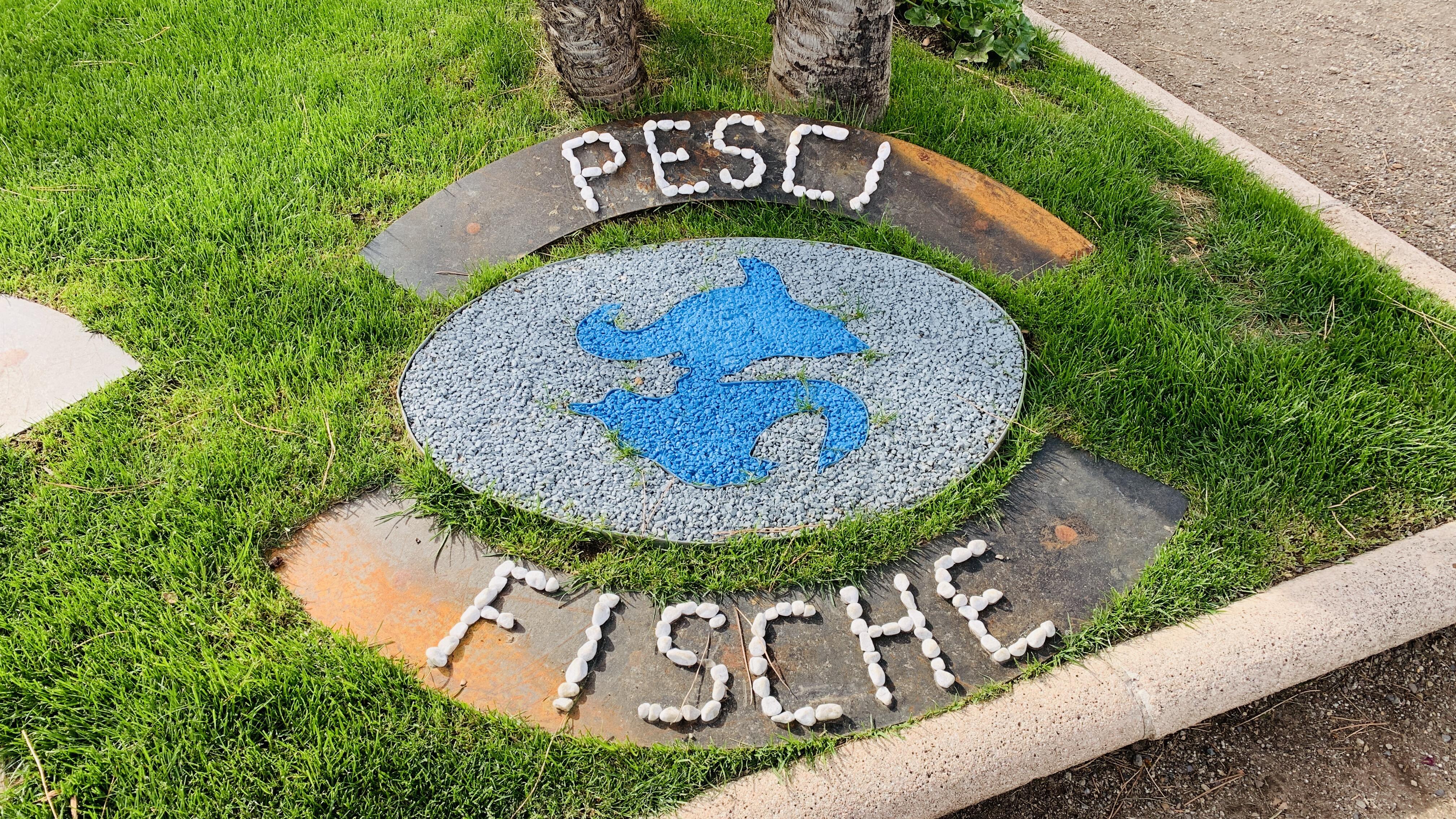 Bild ohne Beschreibung Bild ohne Beschreibung