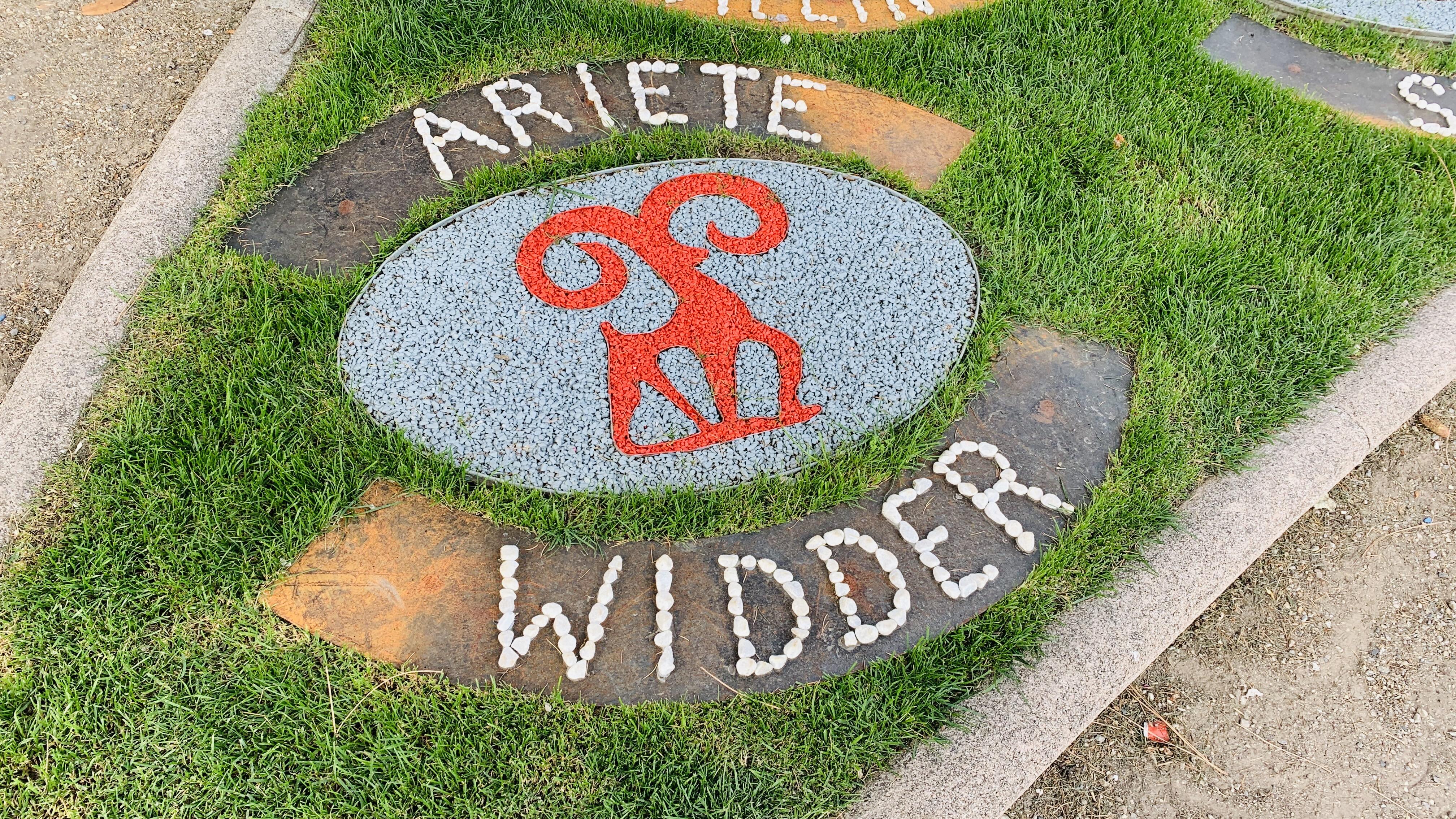 Bild ohne Beschreibung Bild ohne Beschreibung