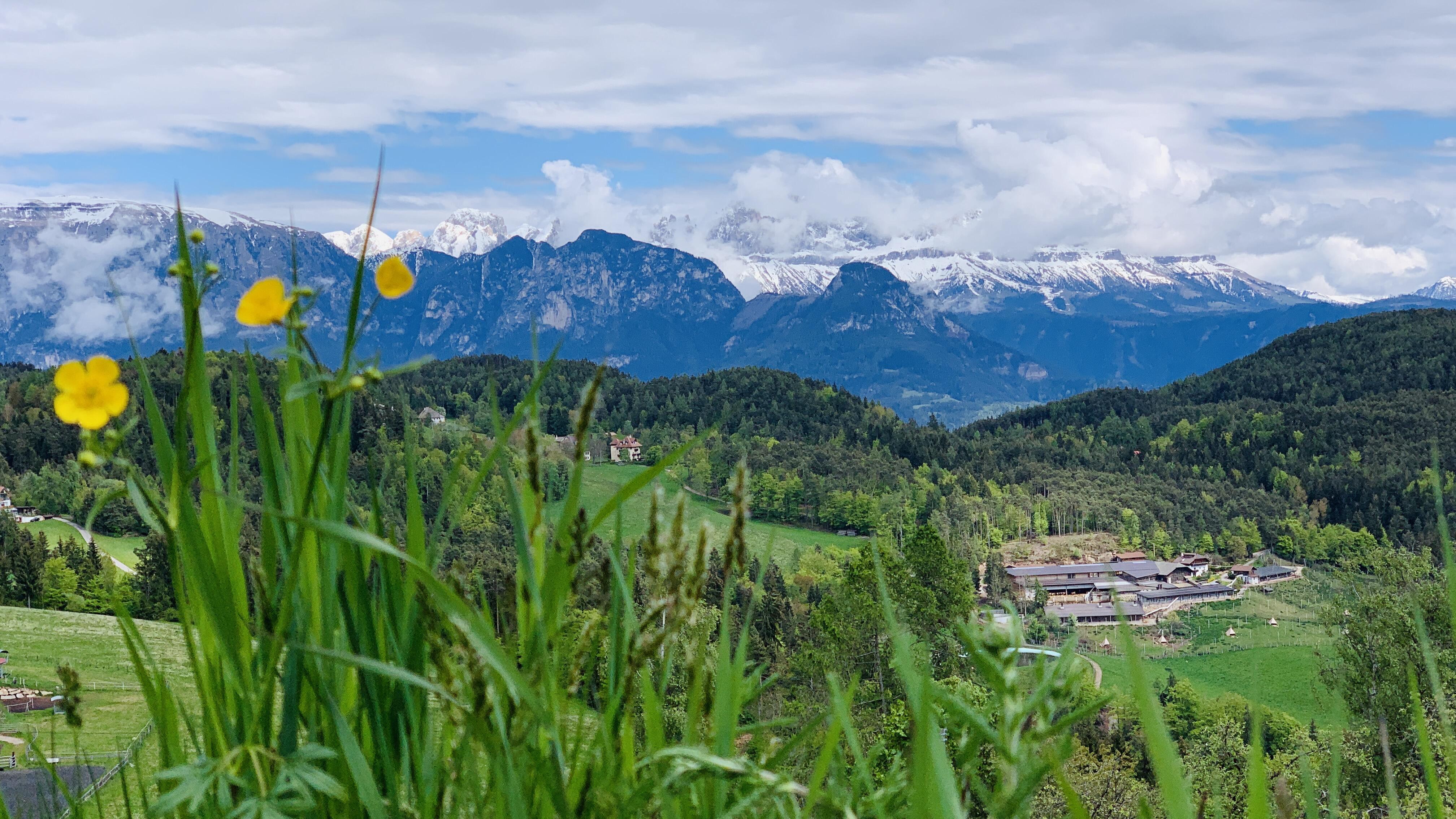 Bild ohne Beschreibung Bild ohne Beschreibung