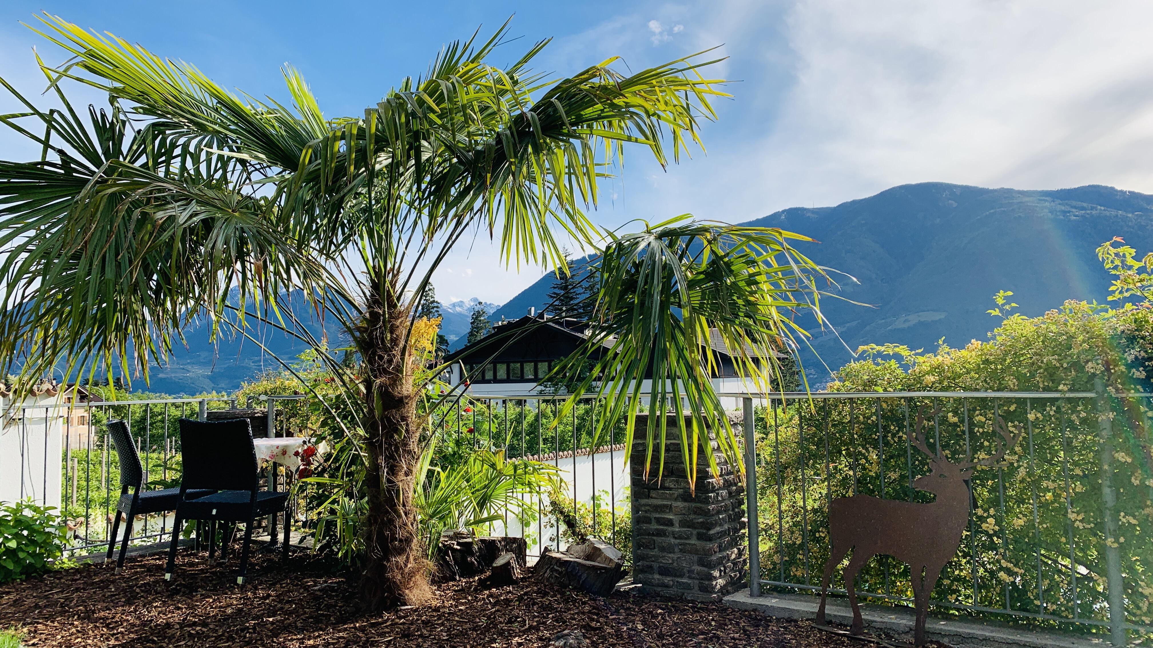 Bild ohne Beschreibung Bild ohne Beschreibung