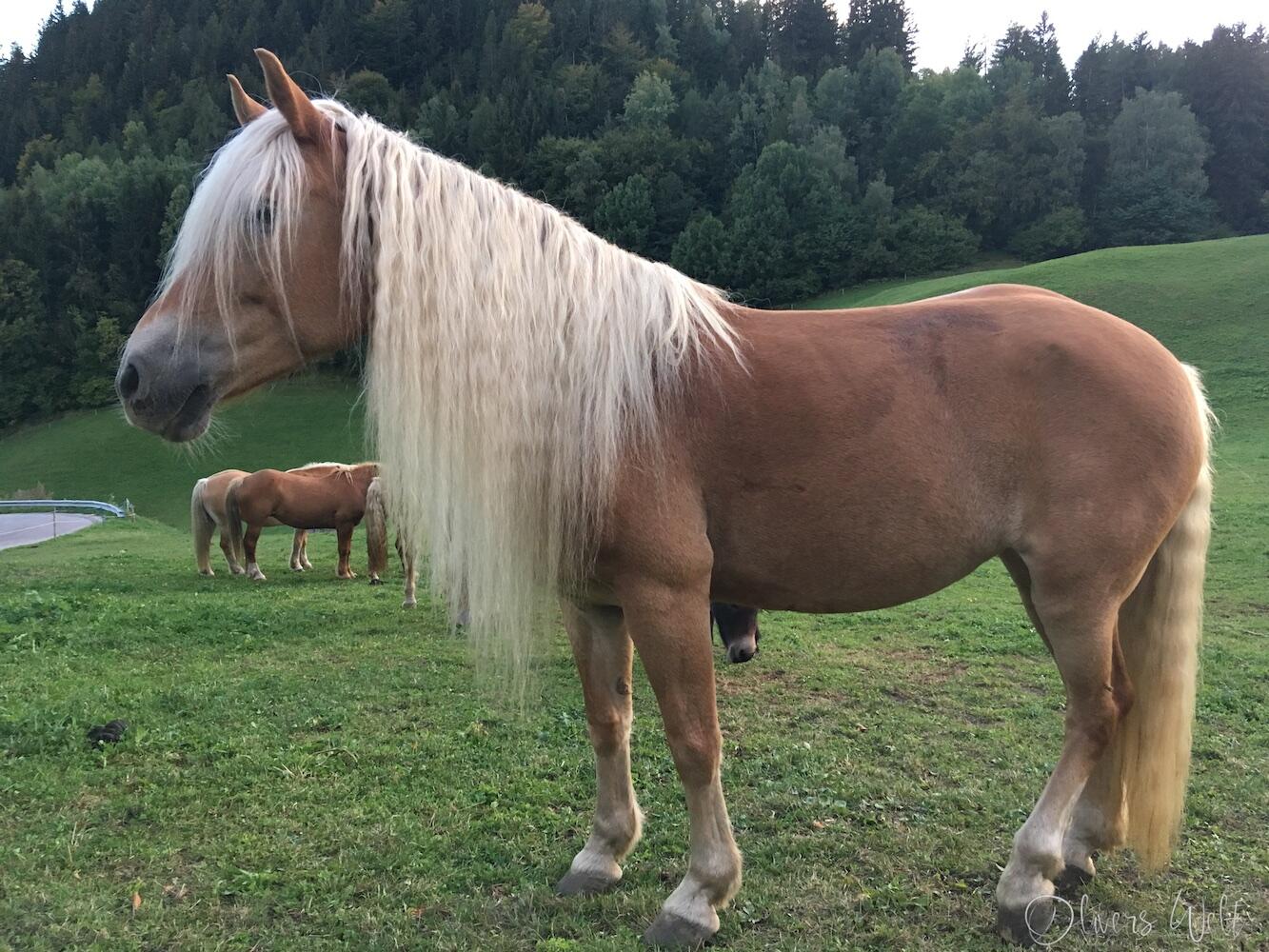 Bild ohne Beschreibung