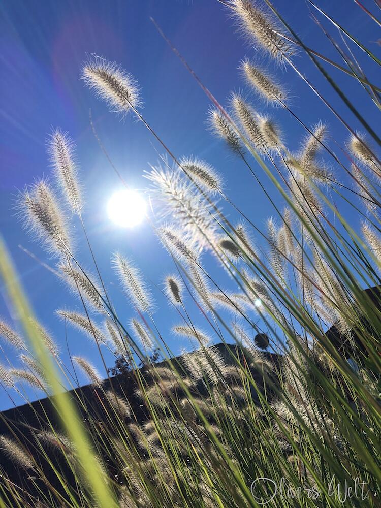 Bild ohne Beschreibung