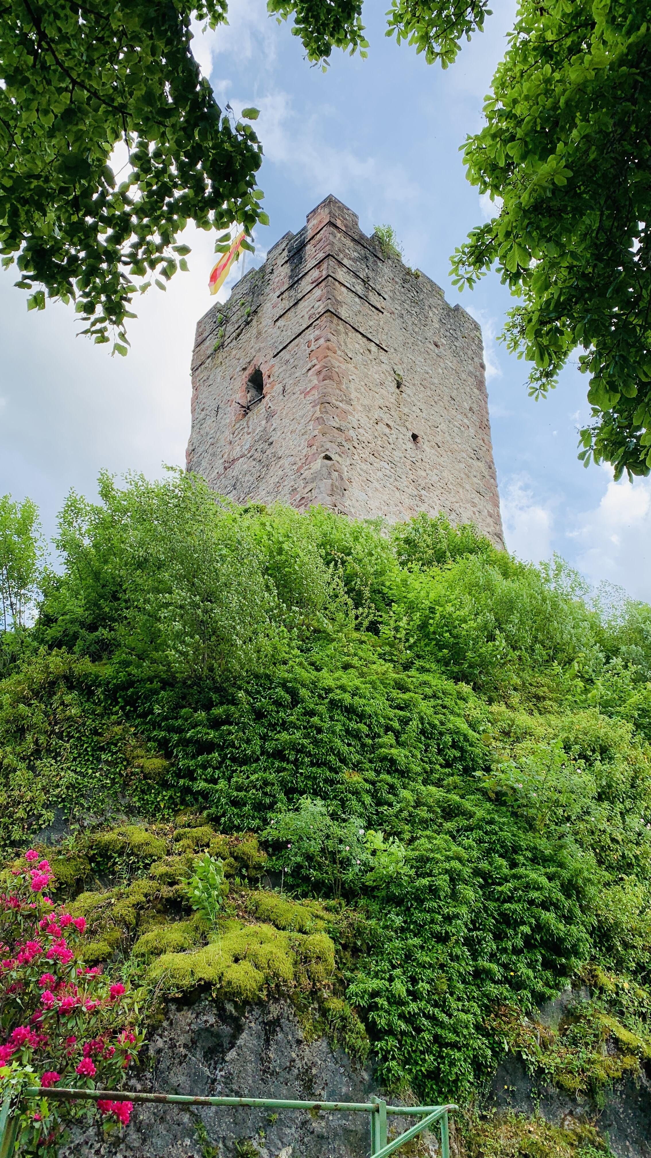 Bild ohne Beschreibung