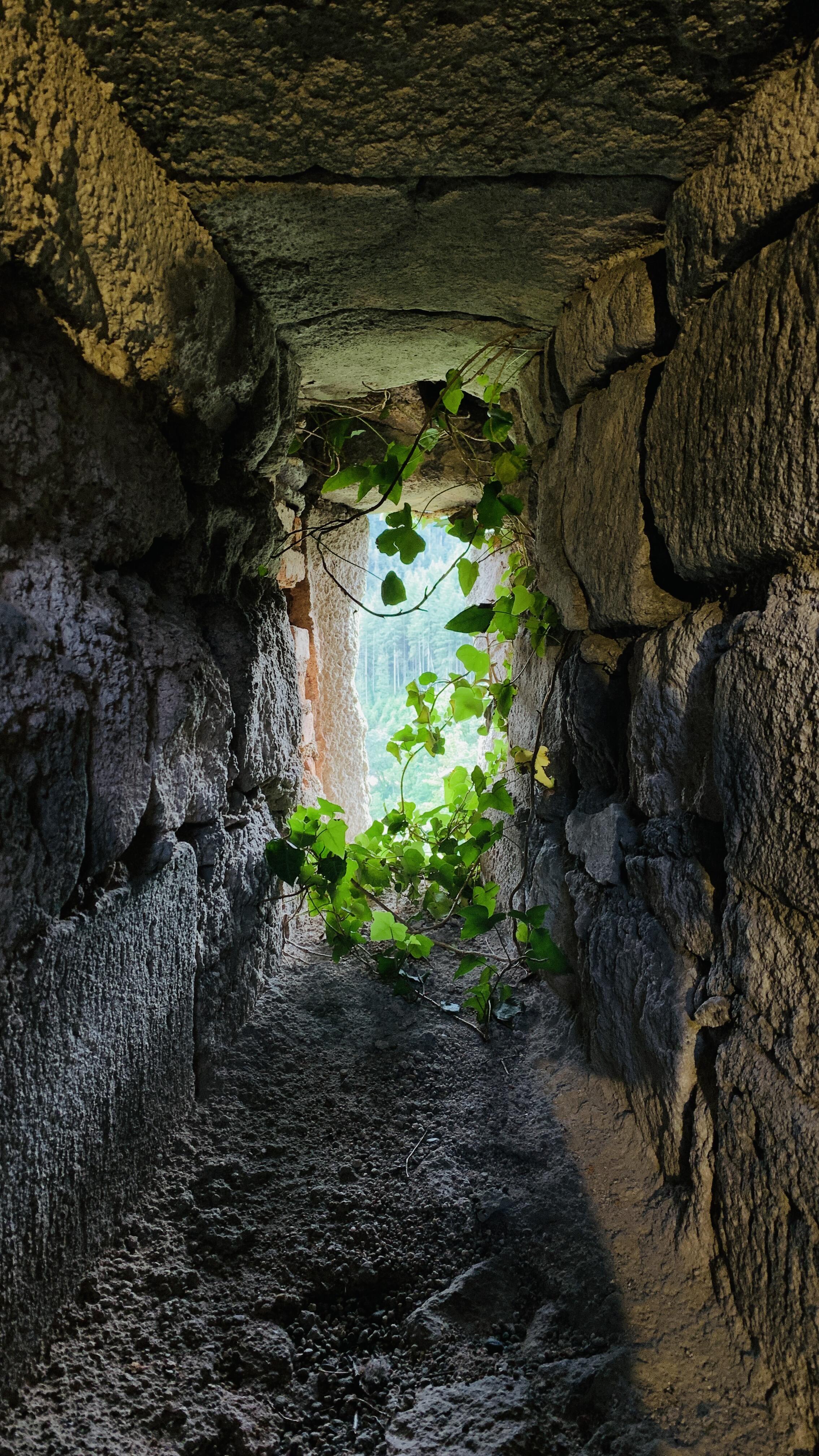 Bild ohne Beschreibung